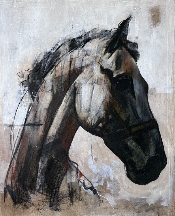 Ozan Virgule