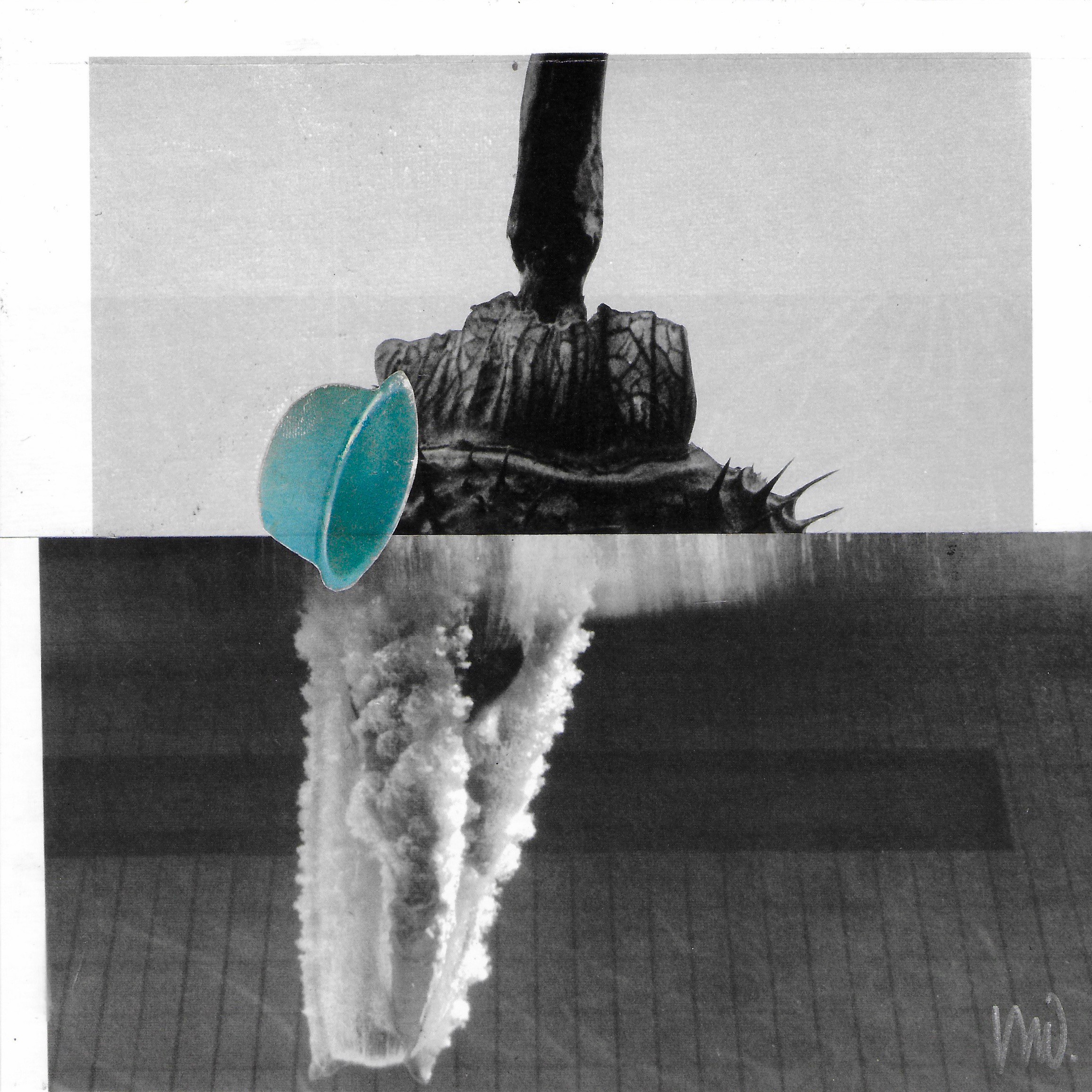 Marian Williams, Splash 2 Marian Williams, Splash 2
