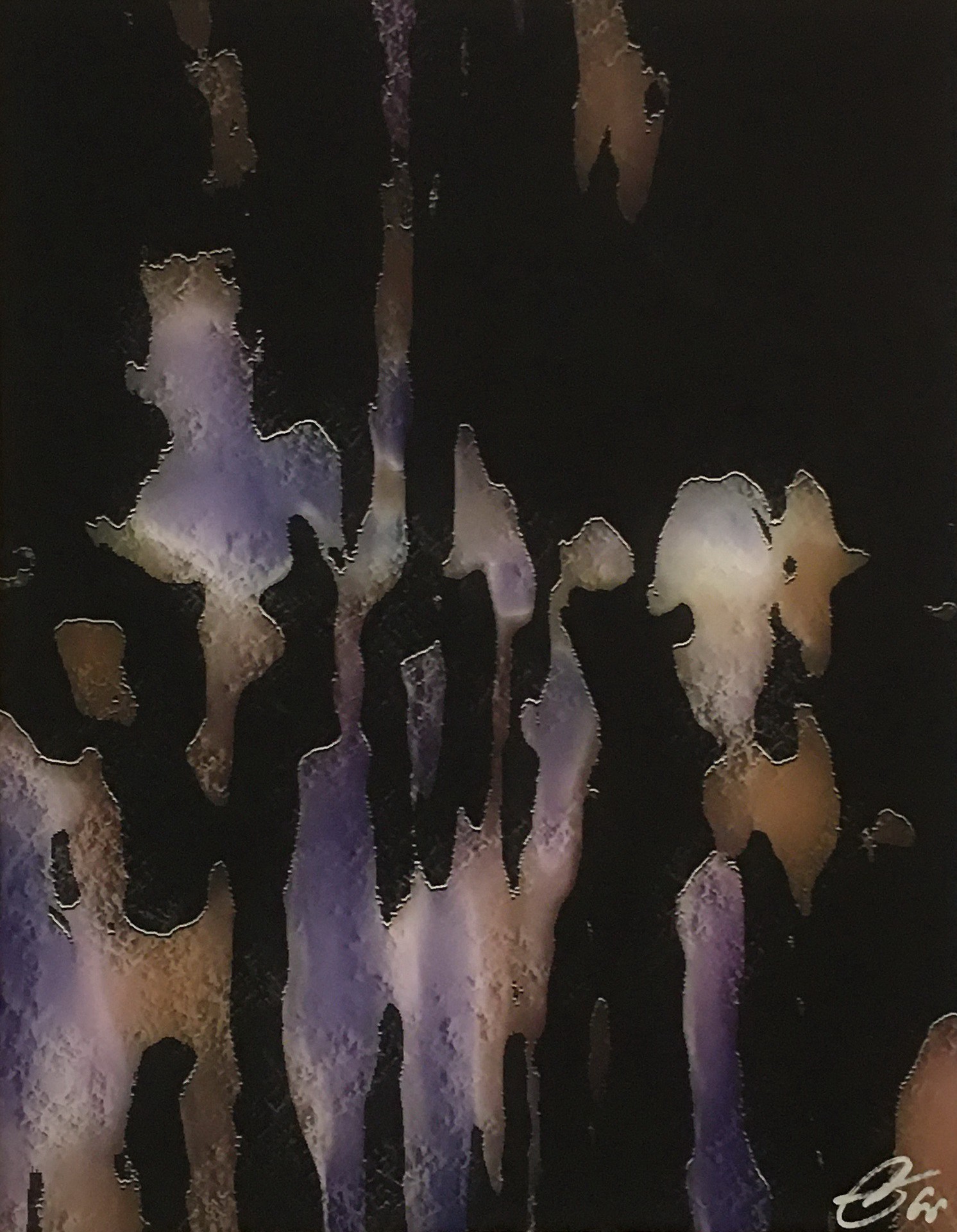 Vanitira, Orchidea Vanitira, Orchidea