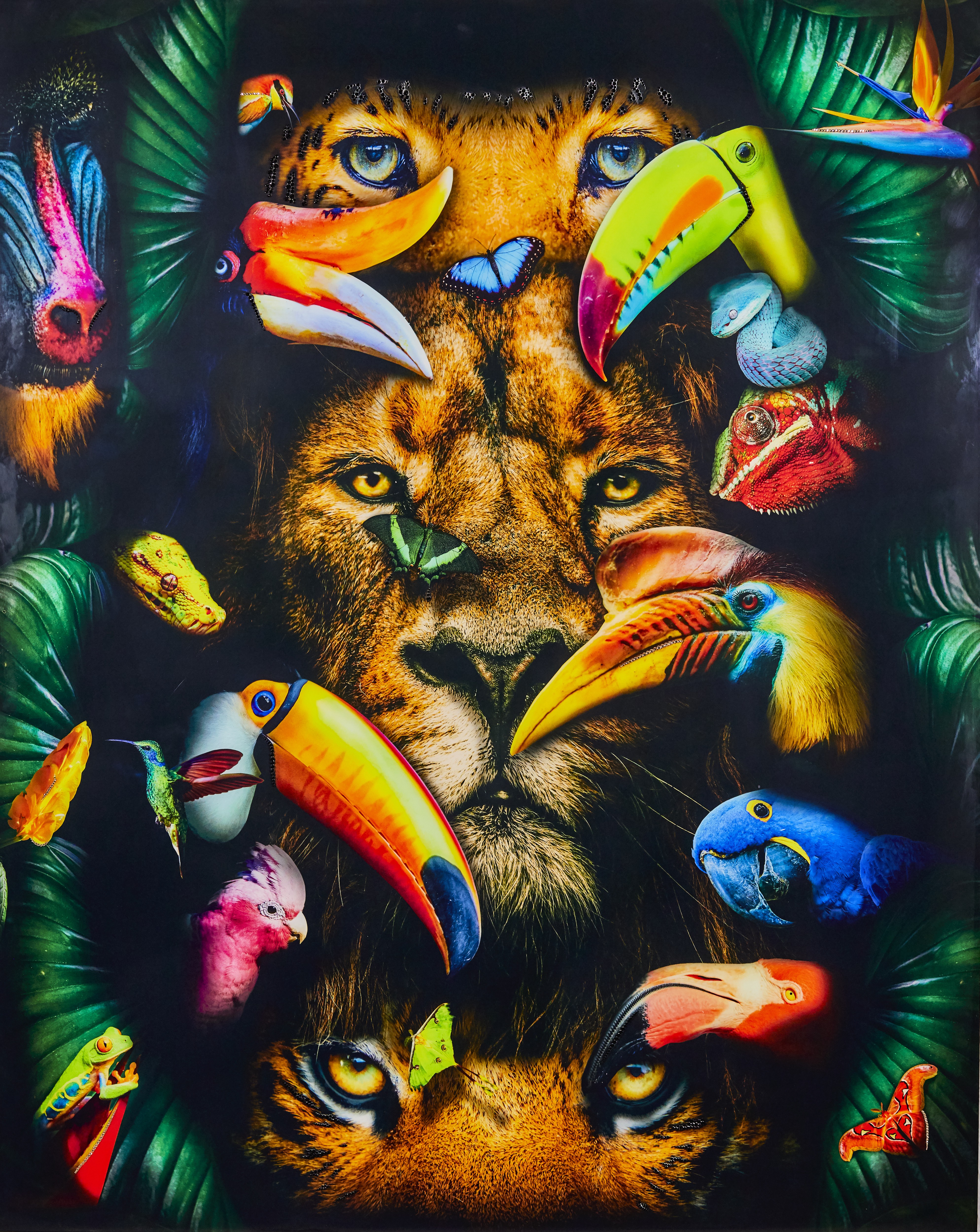 Angela Gomes, Beauty of nature Angela Gomes, Beauty of nature