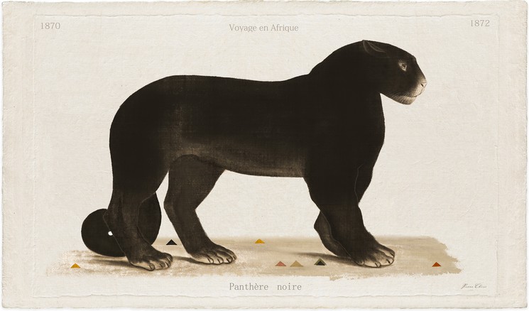 Panthere Noire By Pierre Chini 16 Print Artsper