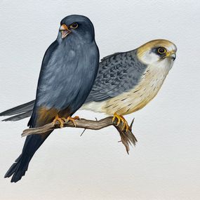 Painting, Red-footed Falcon, Lyuben Domozetski