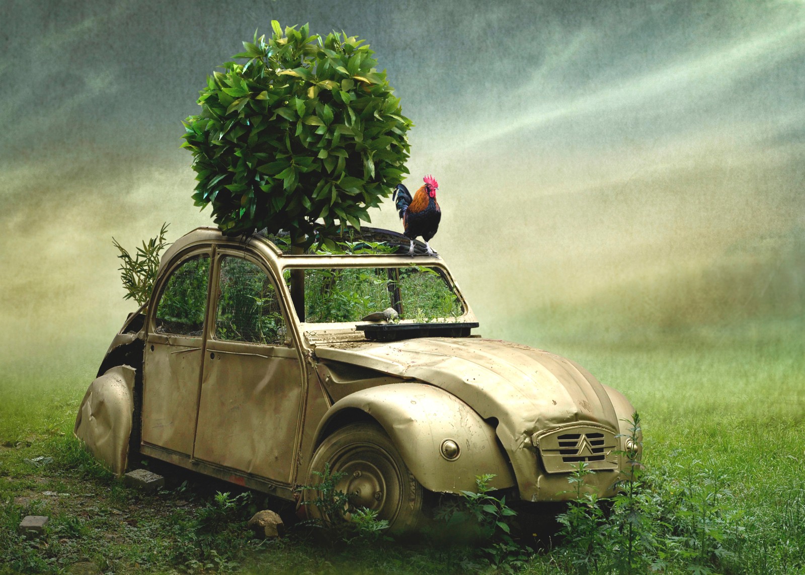 Ben Goossens (BEL), Deux Chevaux Ben Goossens (BEL), Deux Chevaux