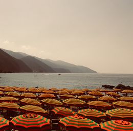 Umbrella Field #1, Anna Levesh