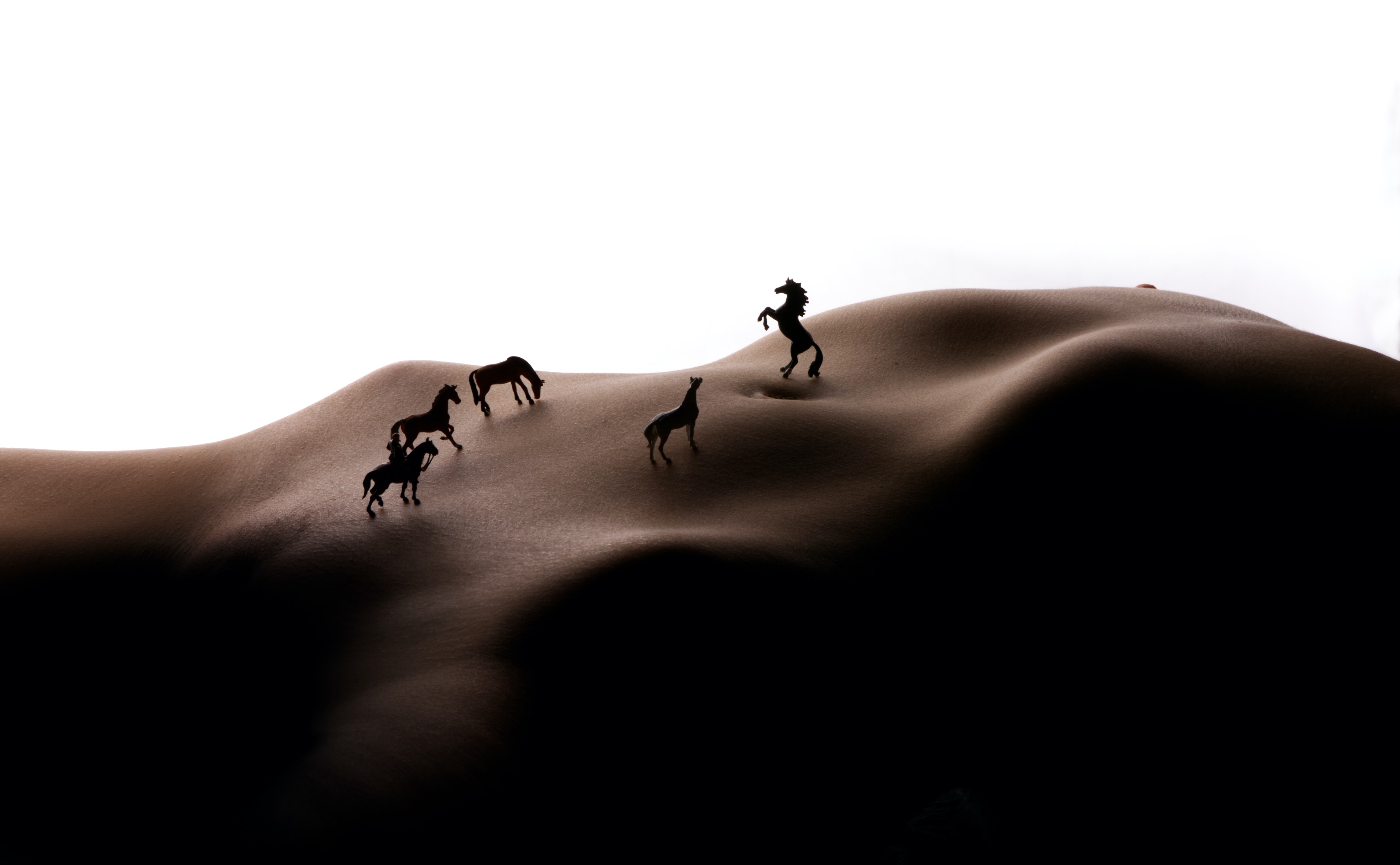 J.Léo, Wild Horses J.Léo, Wild Horses