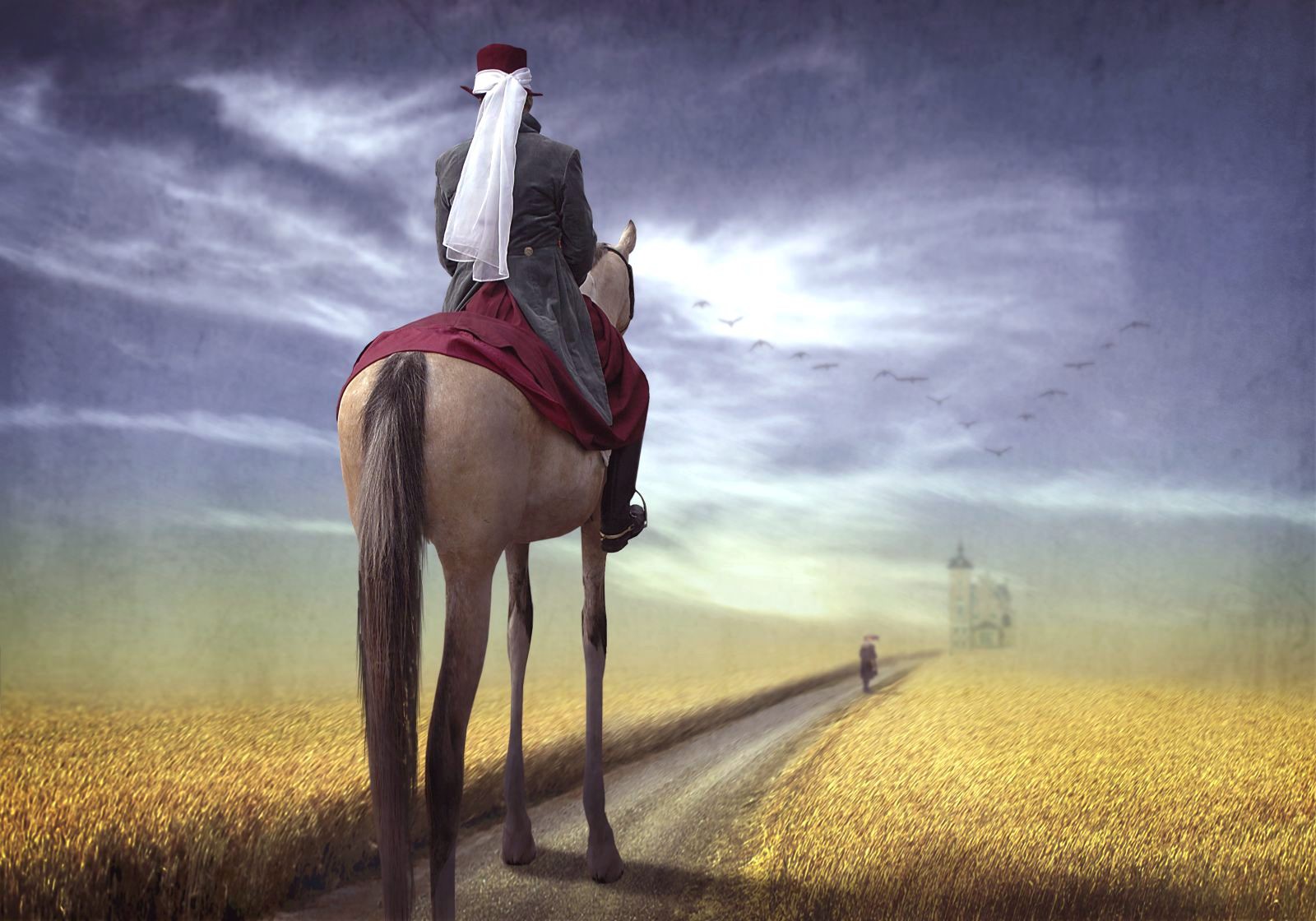 Ben Goossens (BEL), Highness Ben Goossens (BEL), Highness