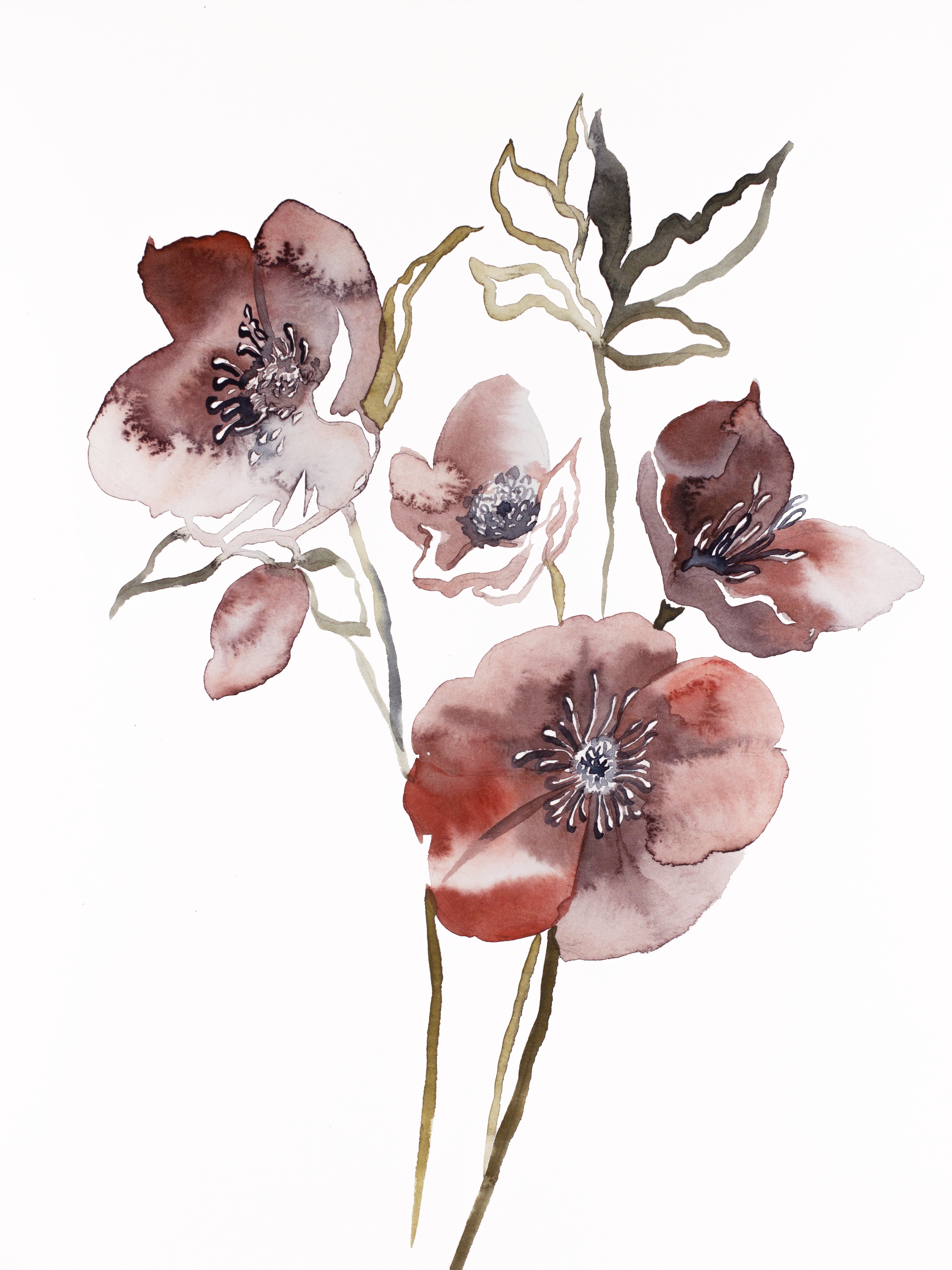 Elizabeth Becker, Hellebore No. 20 Elizabeth Becker, Hellebore No. 20