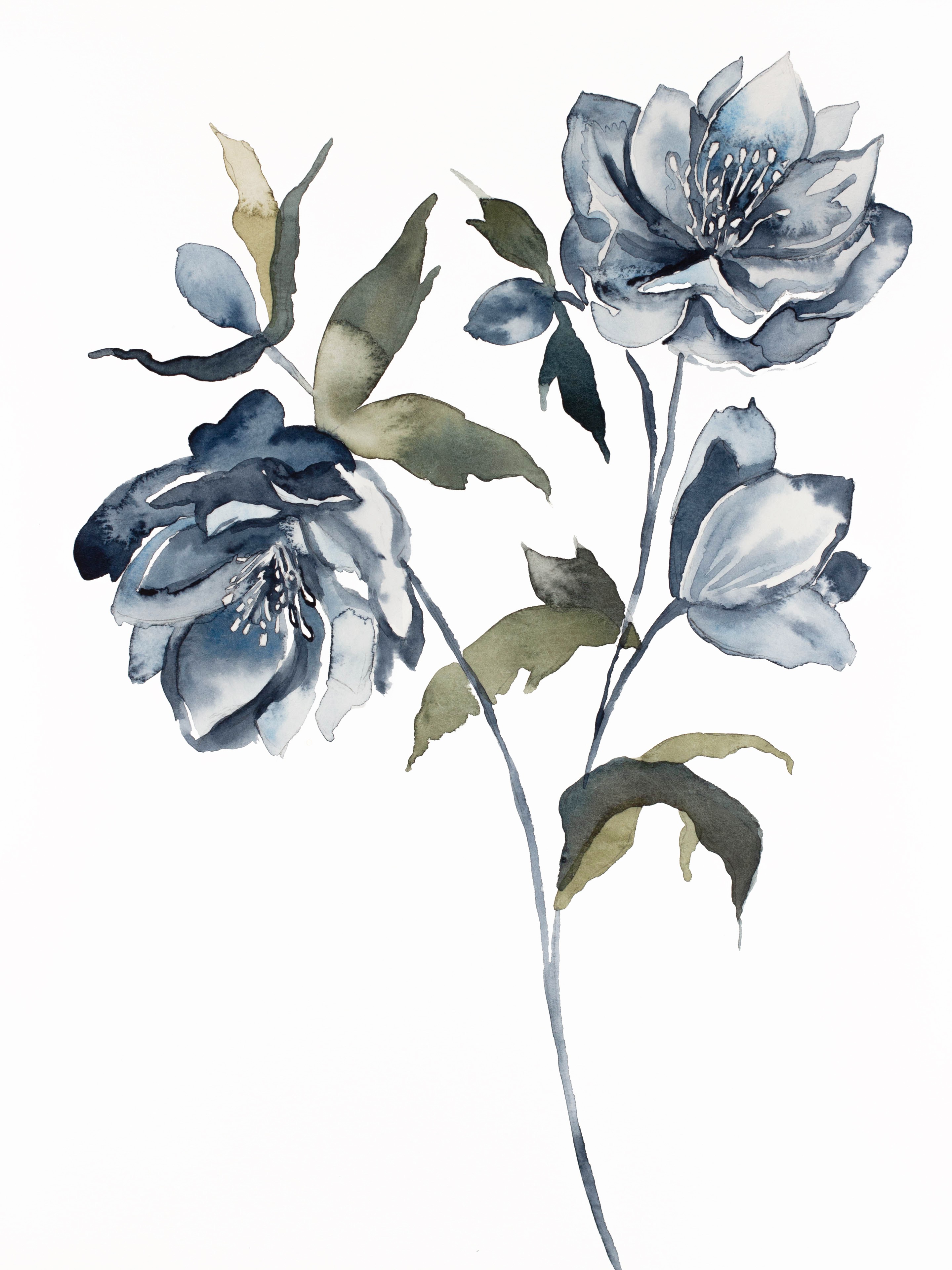 Elizabeth Becker, Hellebore No. 21 Elizabeth Becker, Hellebore No. 21