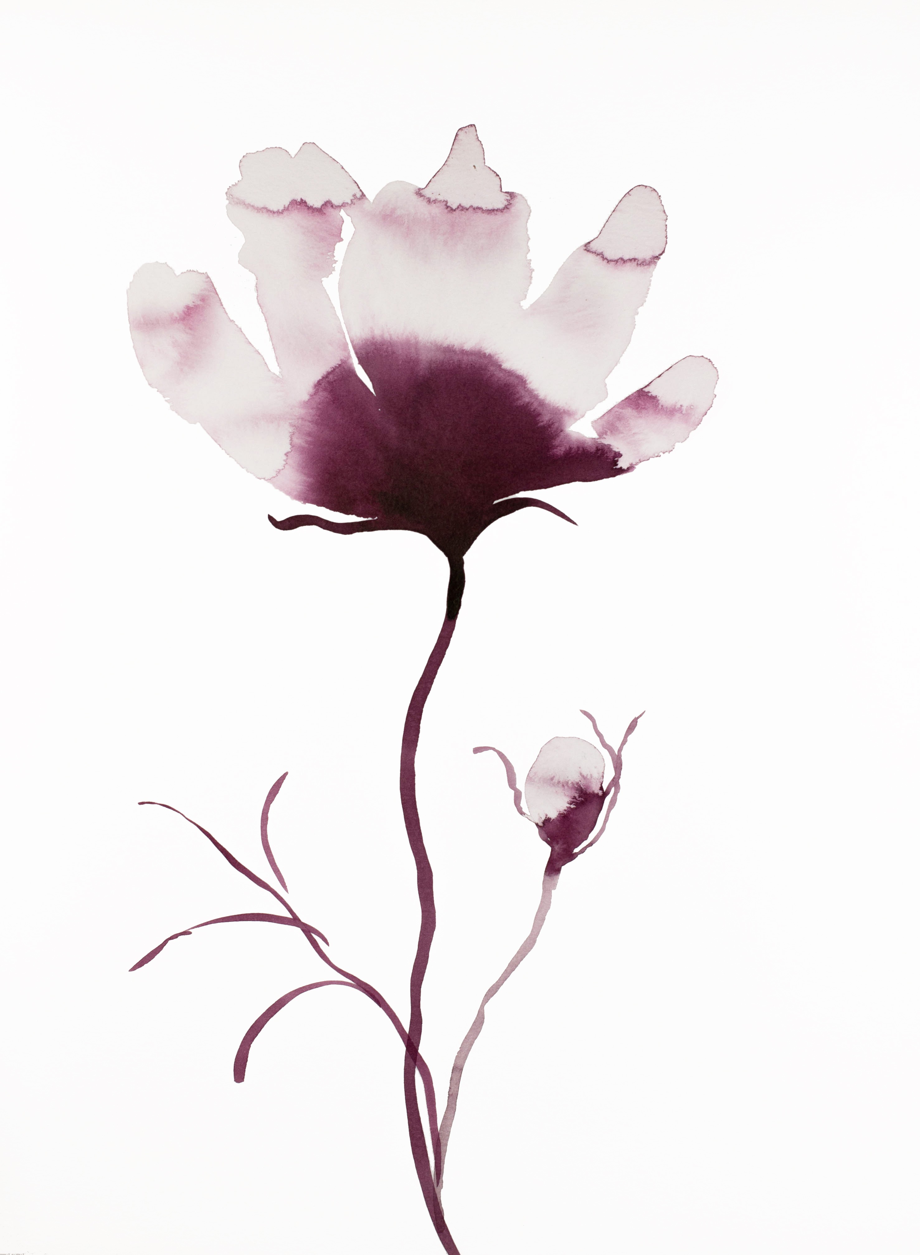 Elizabeth Becker, Magnolia No. 43 Elizabeth Becker, Magnolia No. 43