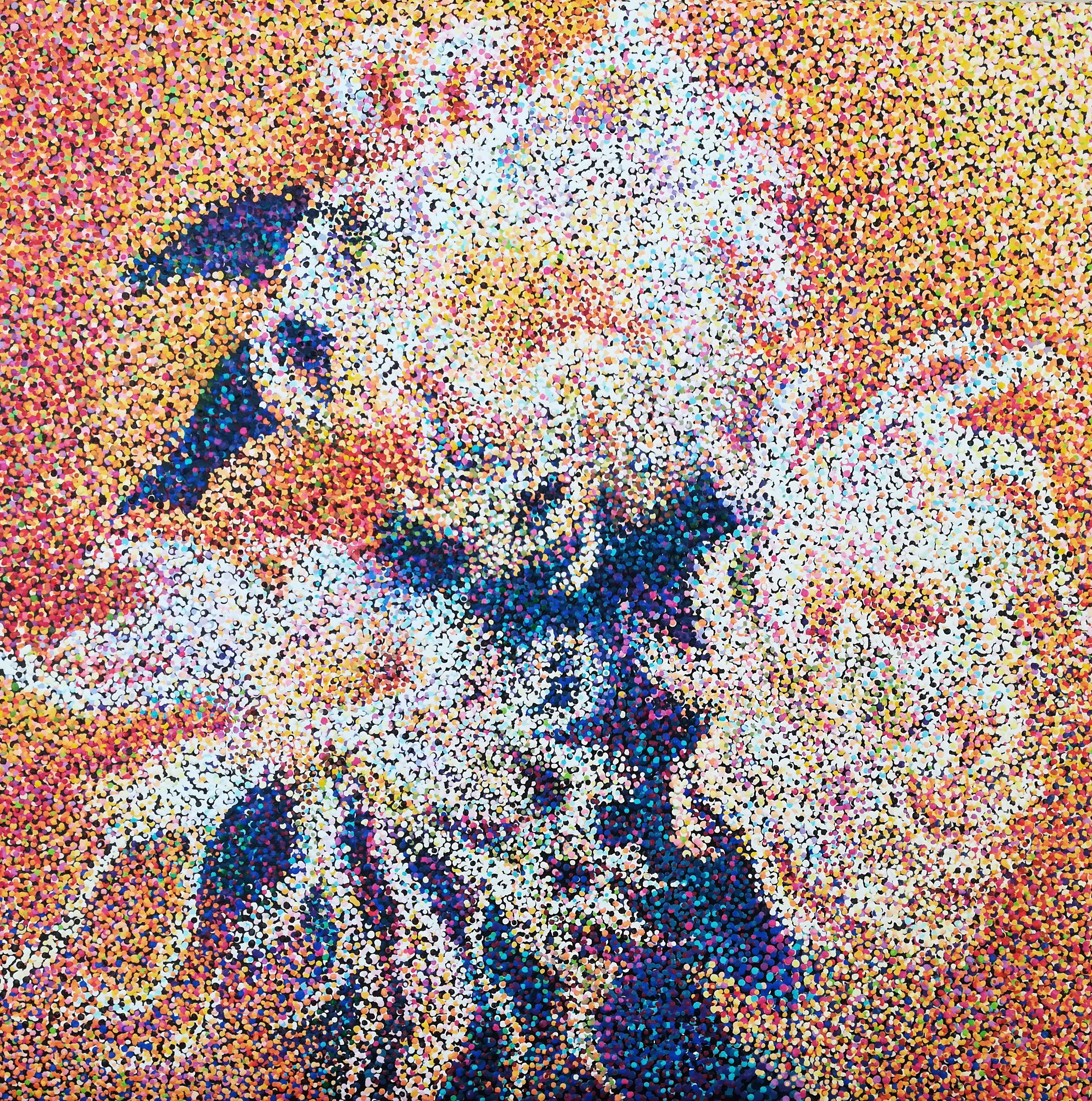 Diana Torje, Chrysanthèmes Diana Torje, Chrysanthèmes