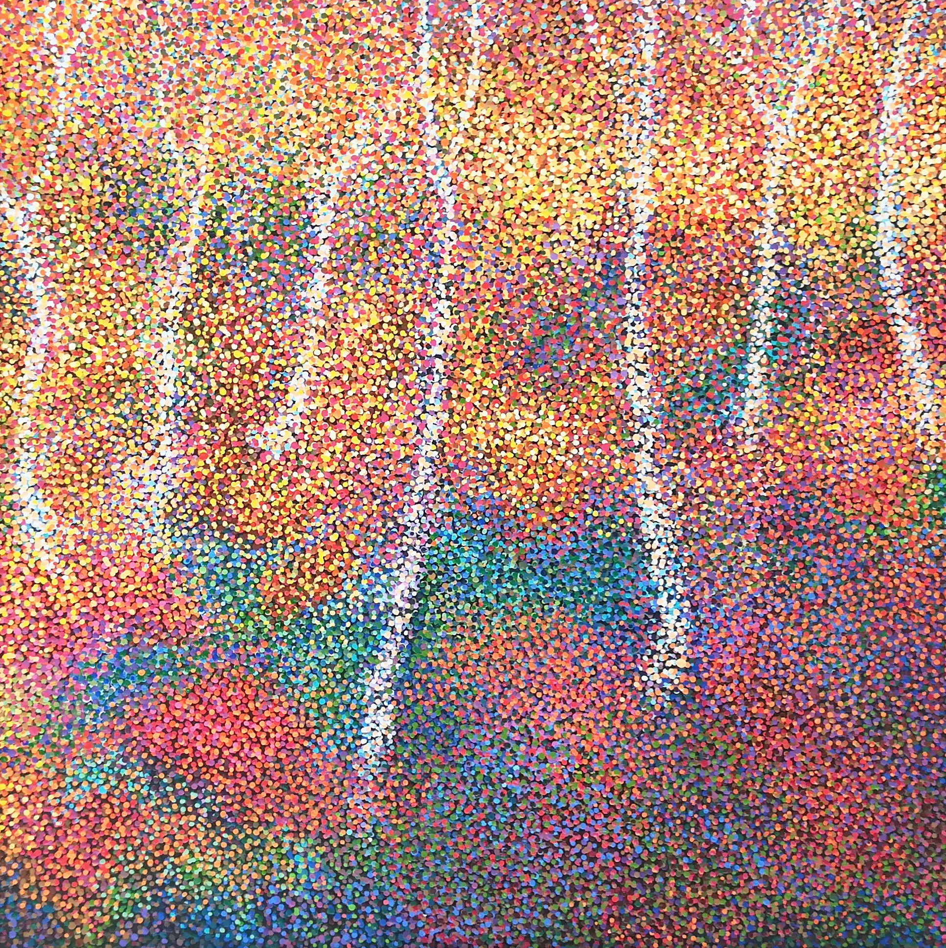 Diana Torje, Forest of Colors Diana Torje, Forest of Colors