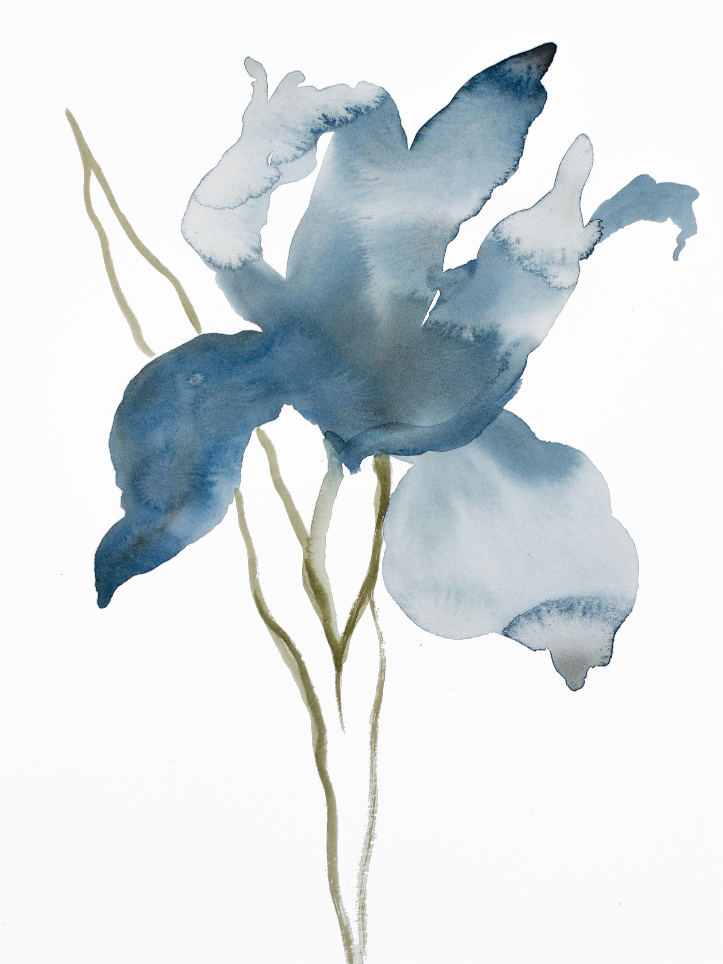 Elizabeth Becker, Iris No. 149 Elizabeth Becker, Iris No. 149