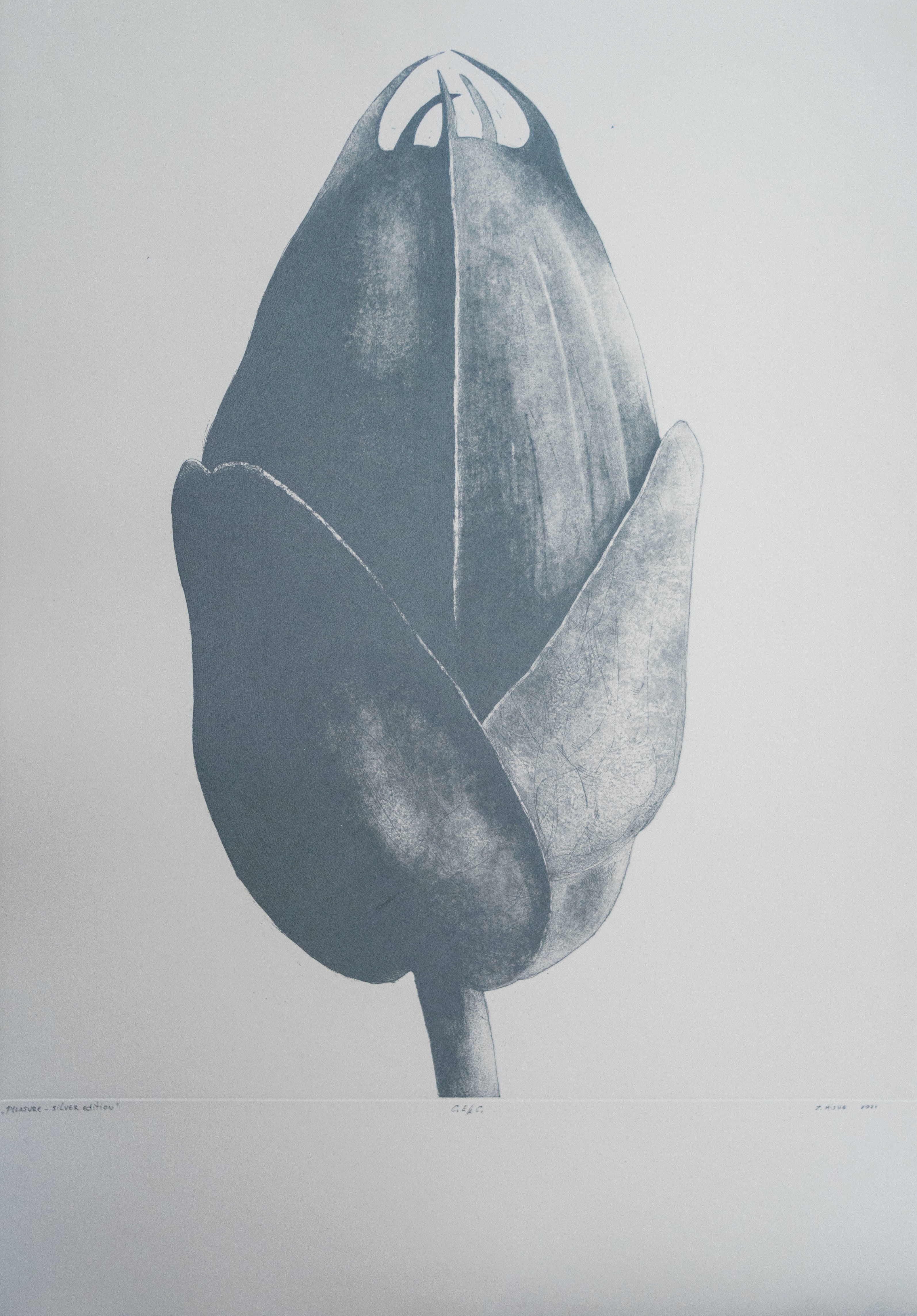 Zoran Mishe, Pleasure I – Silver edition Zoran Mishe, Pleasure I – Silver edition