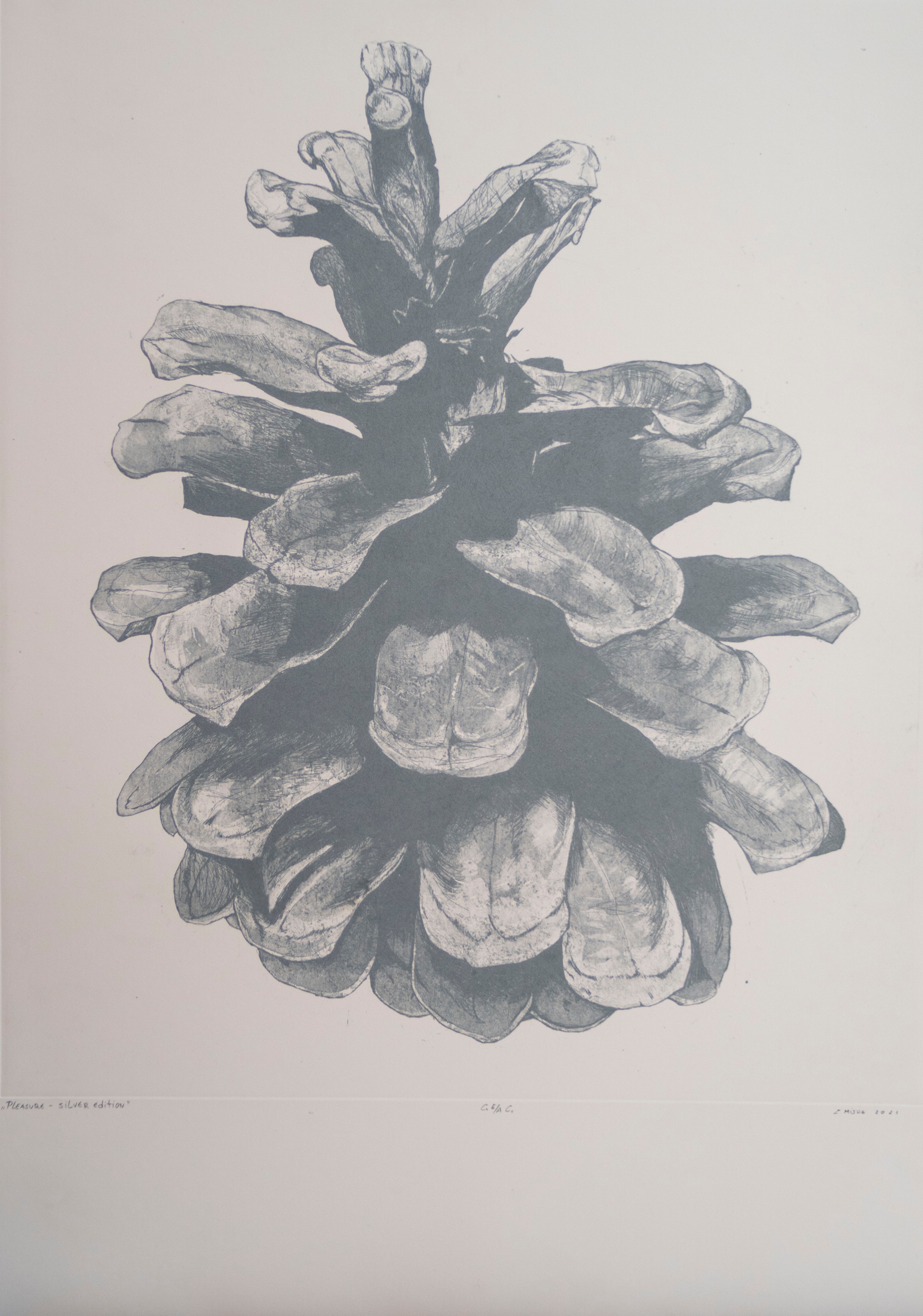 Zoran Mishe, Pleasure II – Silver edition Zoran Mishe, Pleasure II – Silver edition