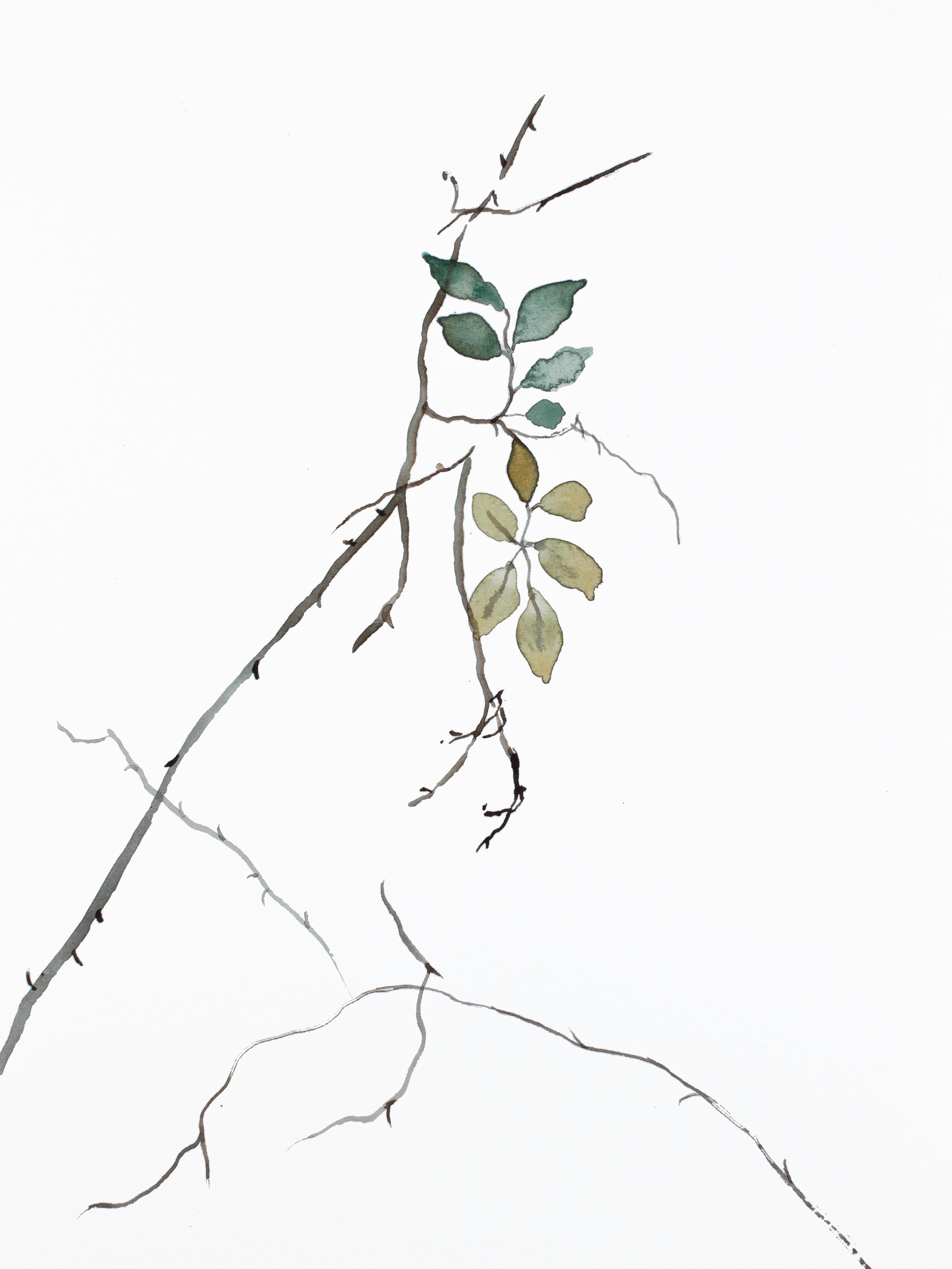 Elizabeth Becker, The Woods No. 132 Elizabeth Becker, The Woods No. 132