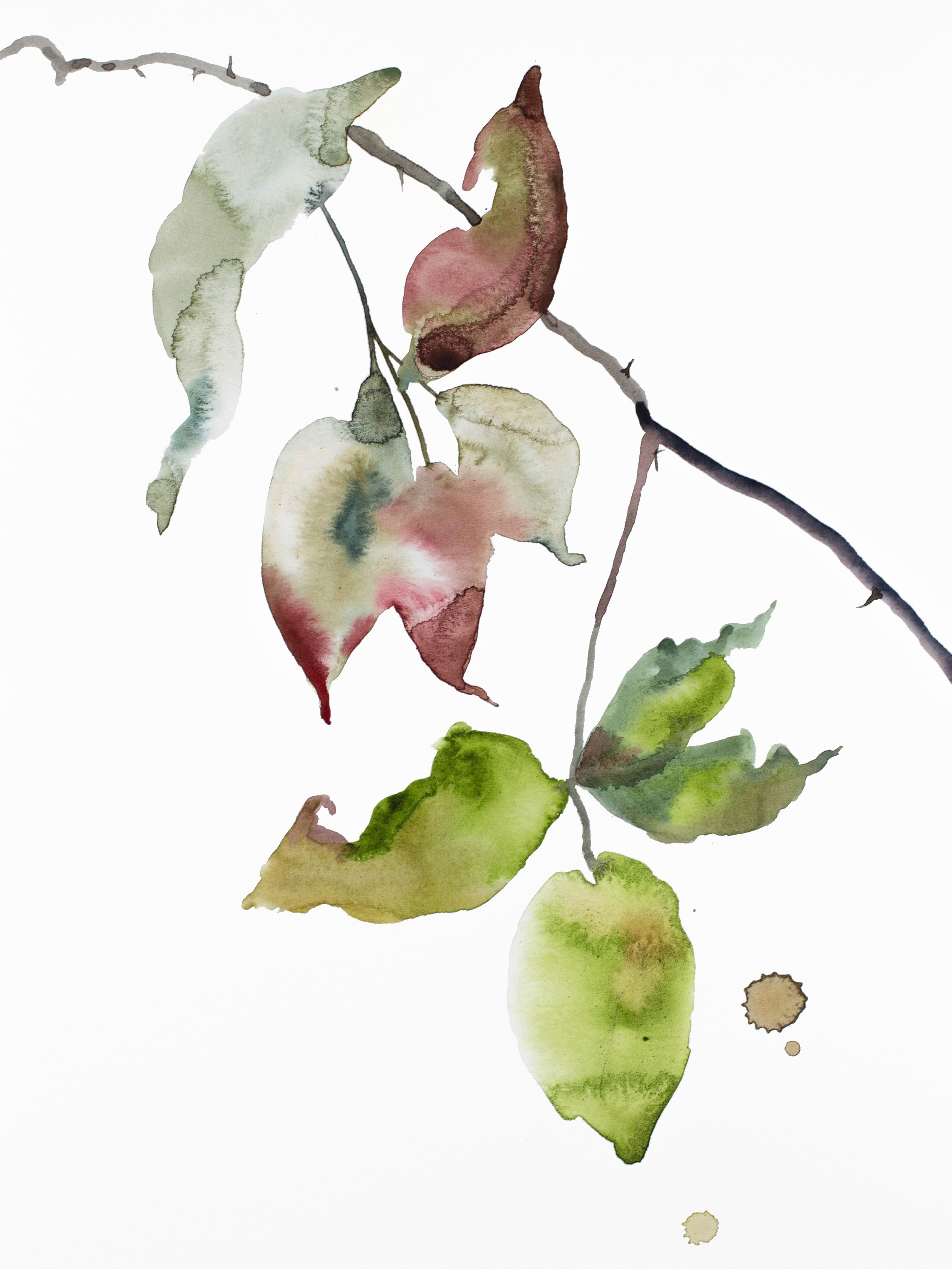 Elizabeth Becker, The Woods No. 136 Elizabeth Becker, The Woods No. 136
