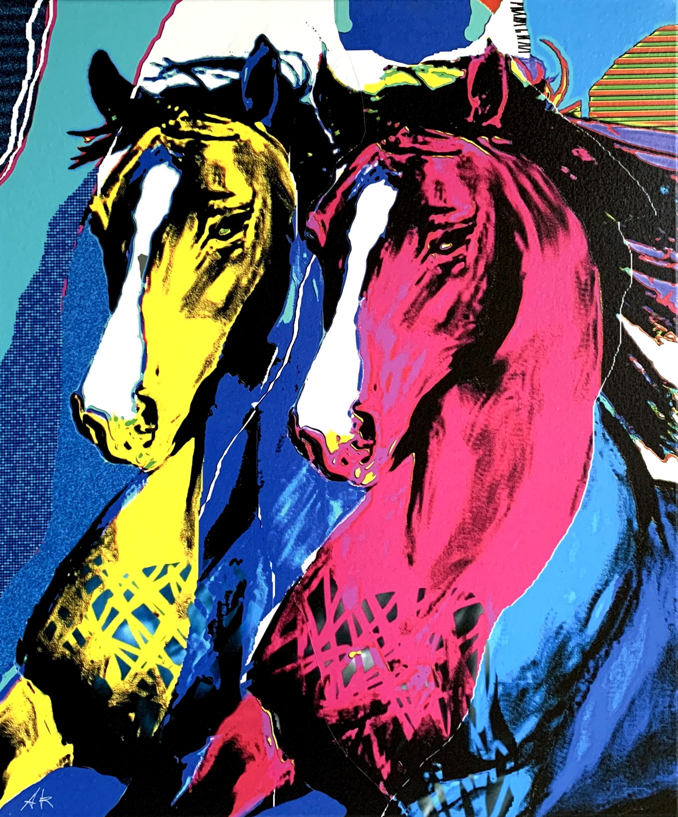 Asnidy Kiarholi, Daily gallop Asnidy Kiarholi, Daily gallop