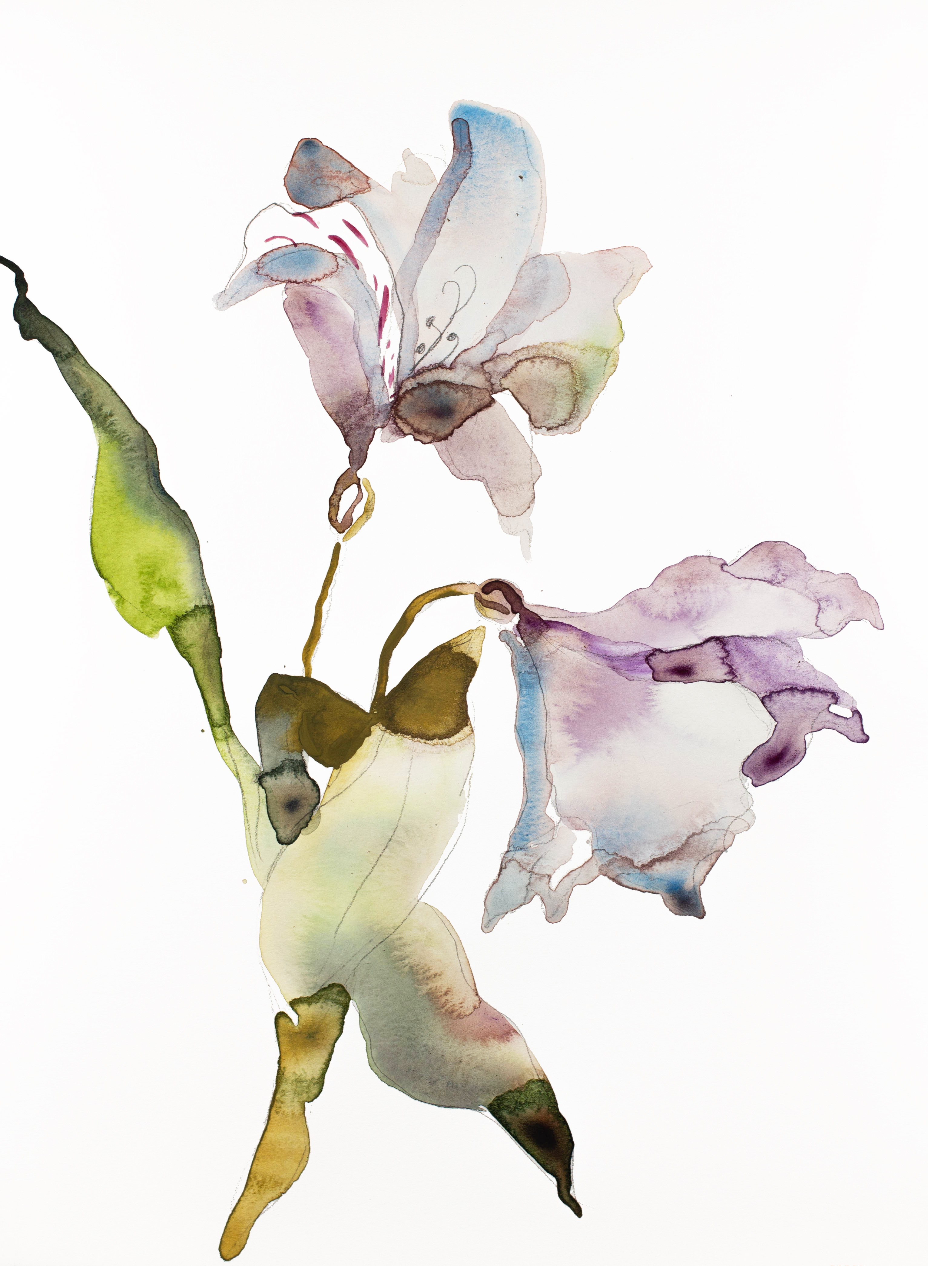 Elizabeth Becker, Lily No. 10 Elizabeth Becker, Lily No. 10