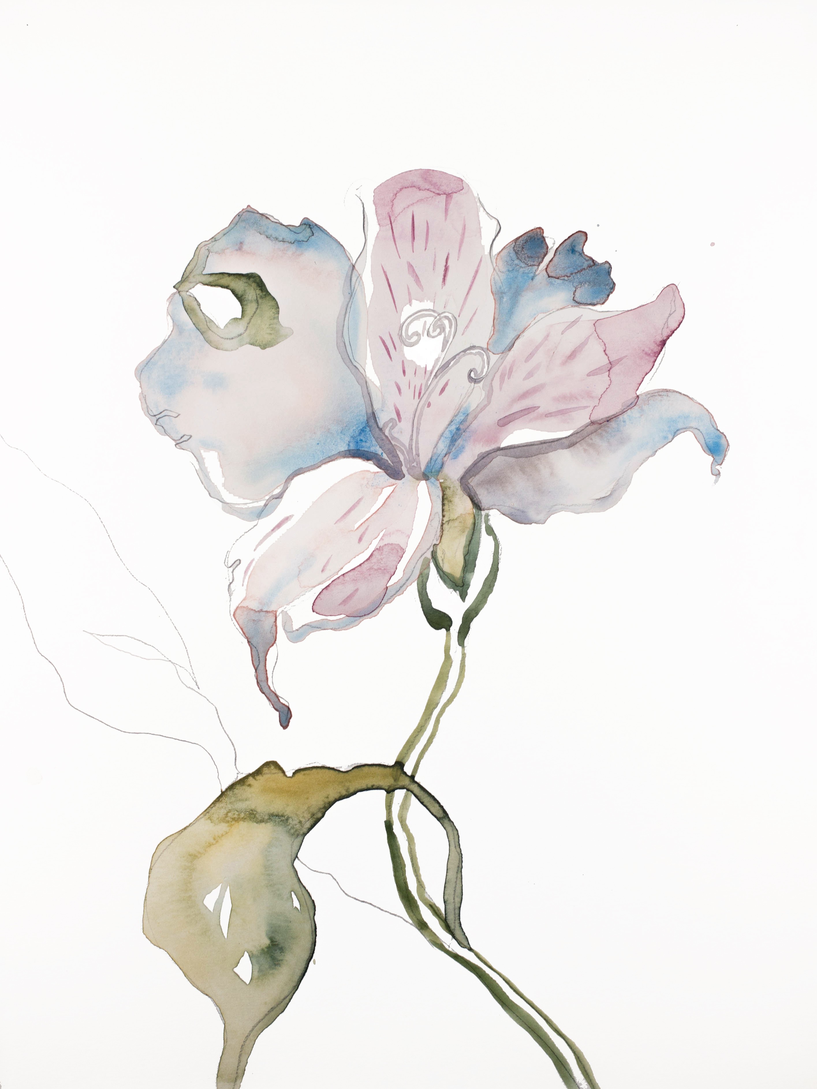 Elizabeth Becker, Lily No. 11 Elizabeth Becker, Lily No. 11