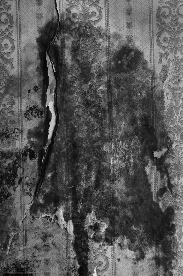 David Salcedo, 02 David Salcedo, 02