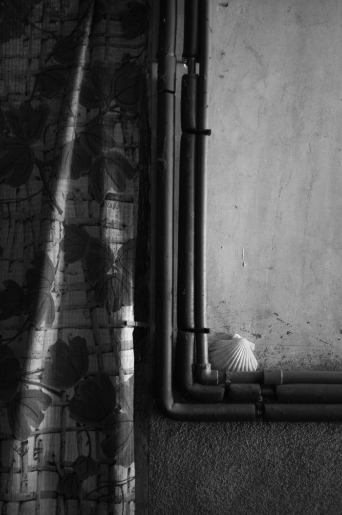 David Salcedo, 13 David Salcedo, 13
