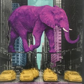 Stampe, High In New York - LV, Lars Tunebo