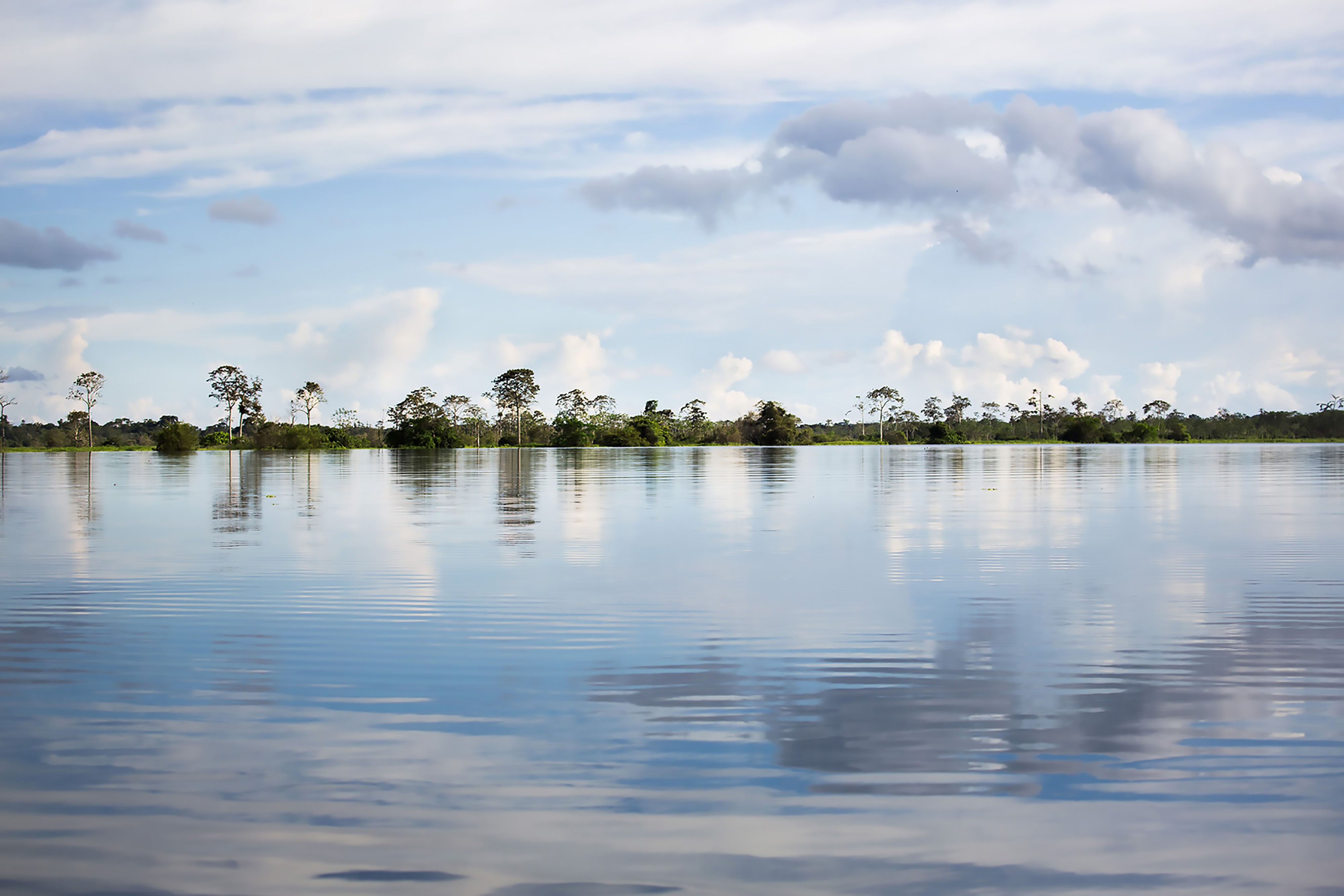 Anthony Horth, Peru Amazonia Anthony Horth, Peru Amazonia