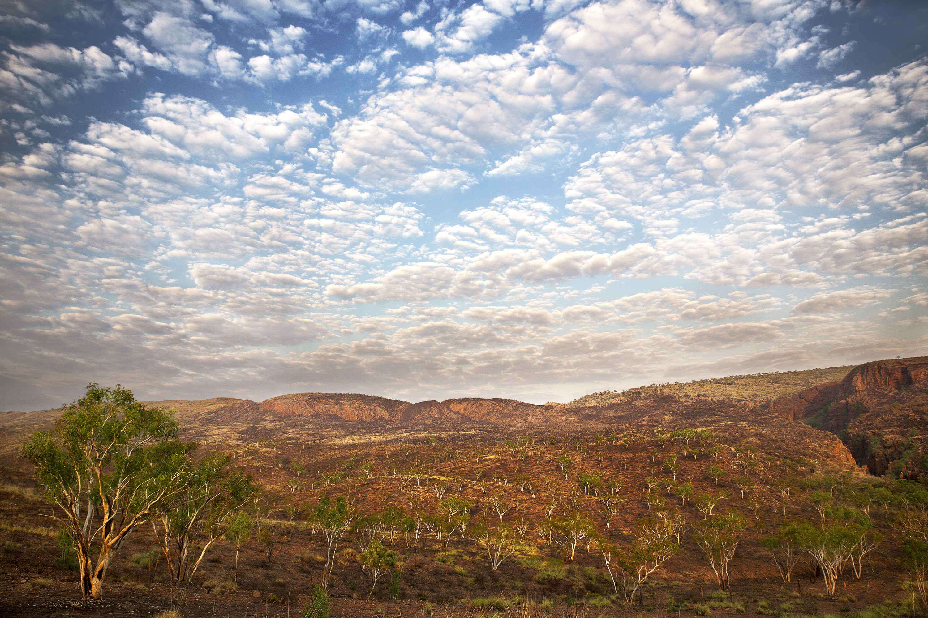 Anthony Horth, Mosaic Clouds Anthony Horth, Mosaic Clouds