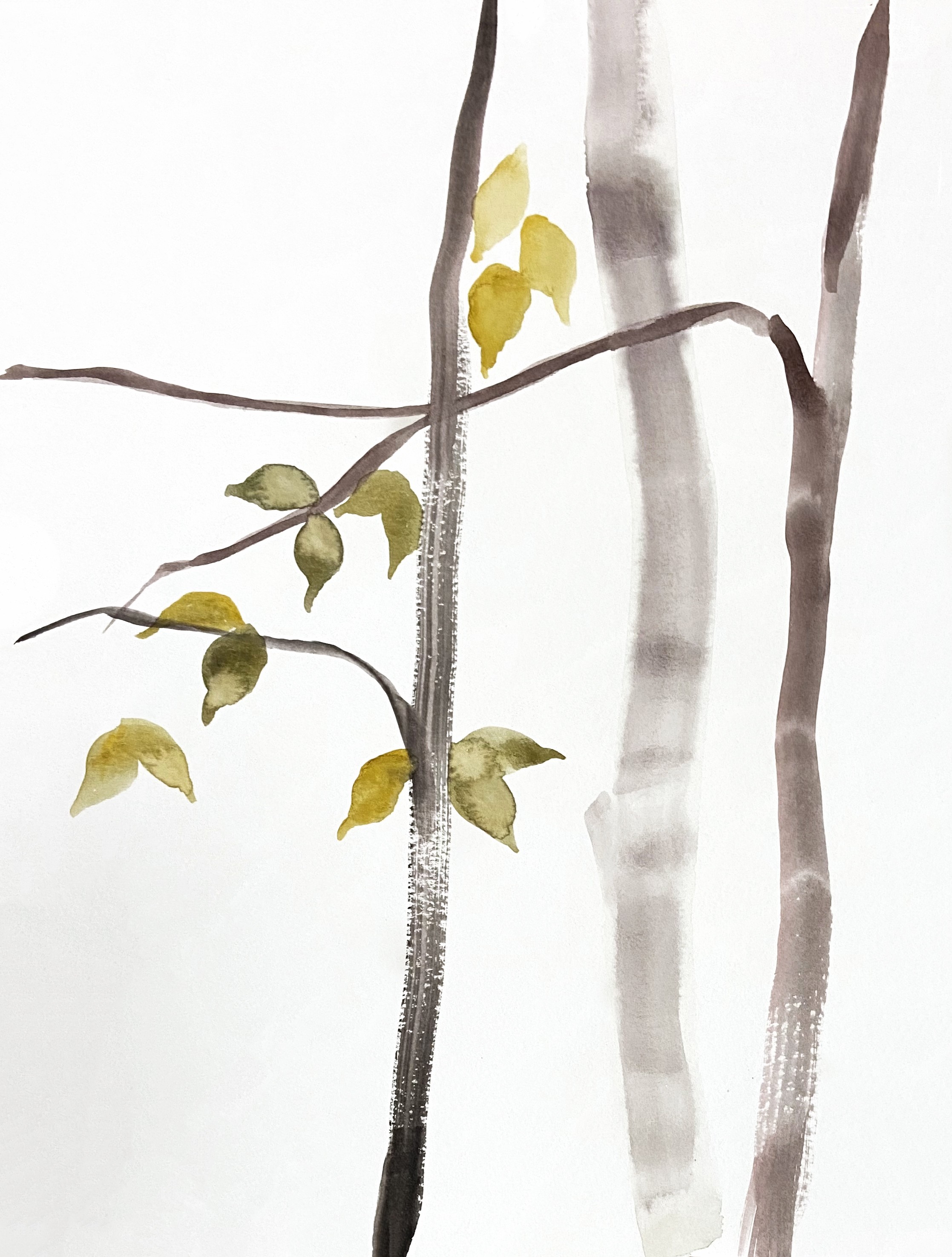 Elizabeth Becker, The Woods No. 151 Elizabeth Becker, The Woods No. 151