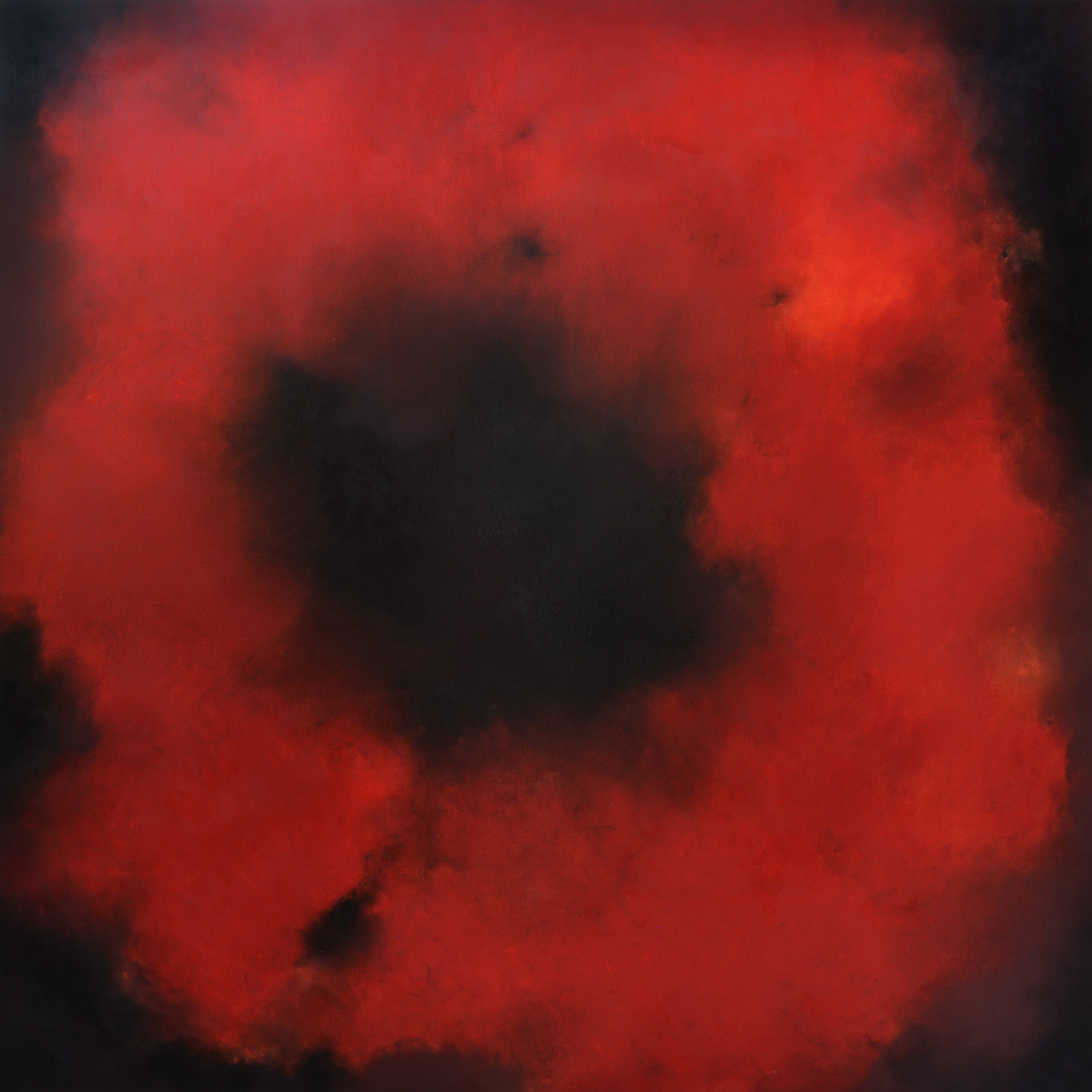 Kerstin Paillard, Papaver Rhoeas Kerstin Paillard, Papaver Rhoeas