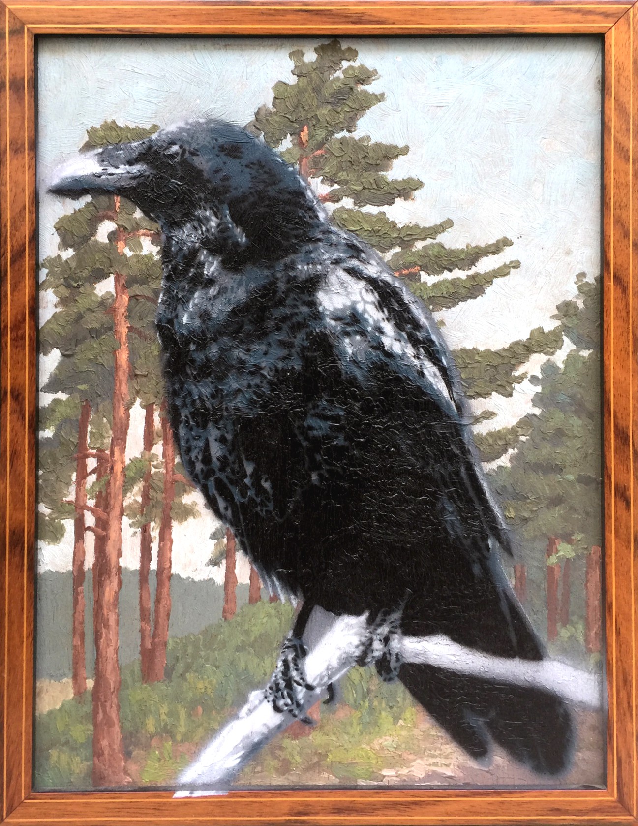 Docteur Bergman, Le Corbeau Docteur Bergman, Le Corbeau