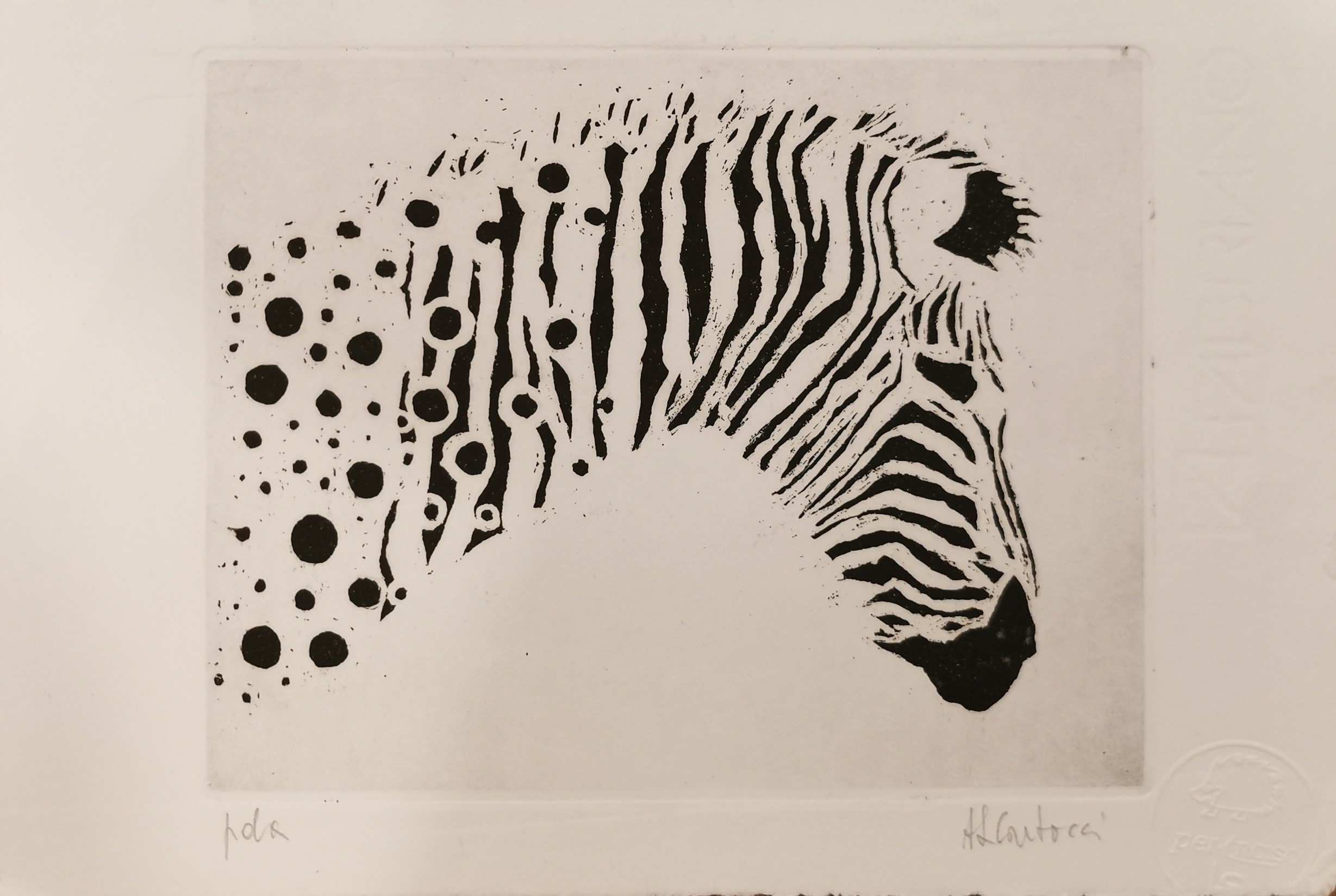 Anna Laura Cartocci, Zebra Anna Laura Cartocci, Zebra