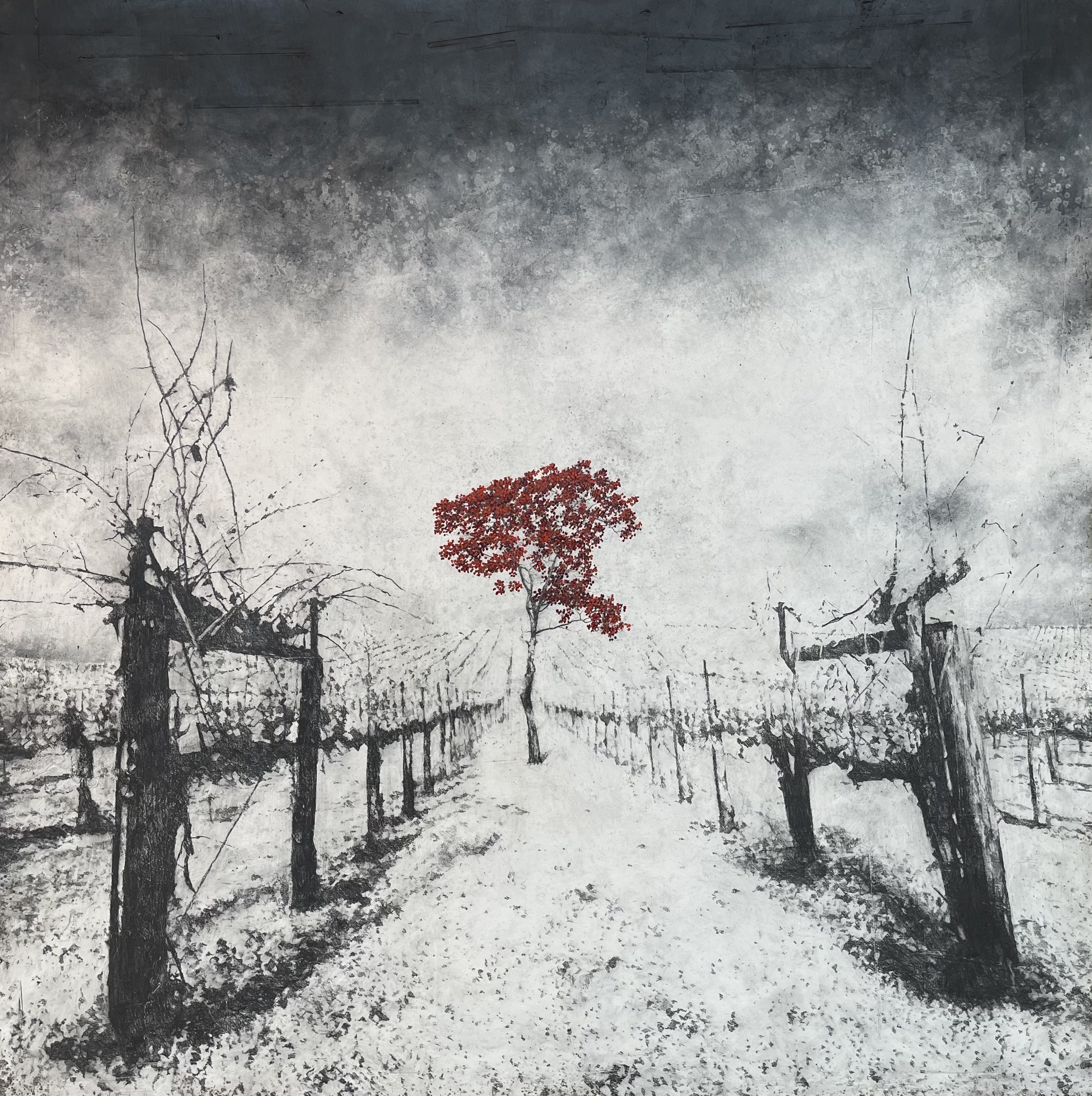 Antoine Josse, La rebelle Antoine Josse, La rebelle