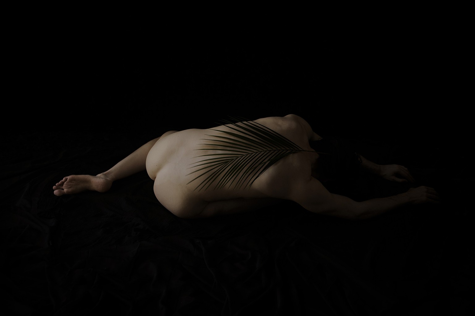 Ricky Cohete, Palma en la noche. From the Viva series Ricky Cohete, Palma en la noche. From the Viva series