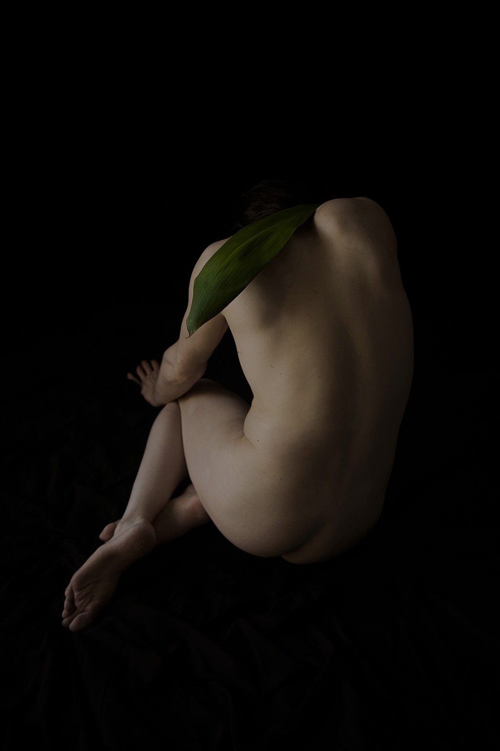 Ricky Cohete, Espina. From the Viva series Ricky Cohete, Espina. From the Viva series