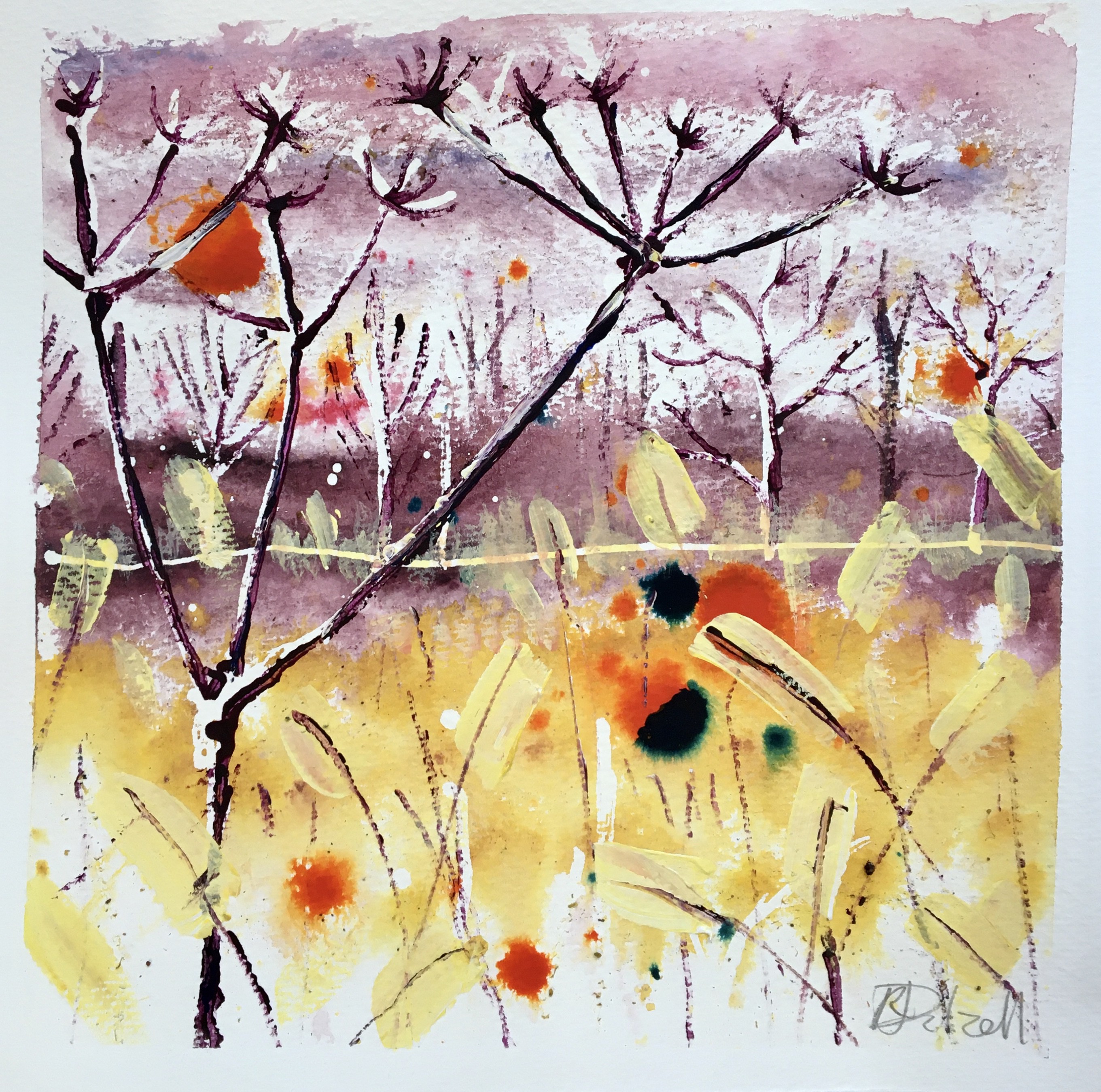 Rachael Dalzell, Low Light in November Rachael Dalzell, Low Light in November