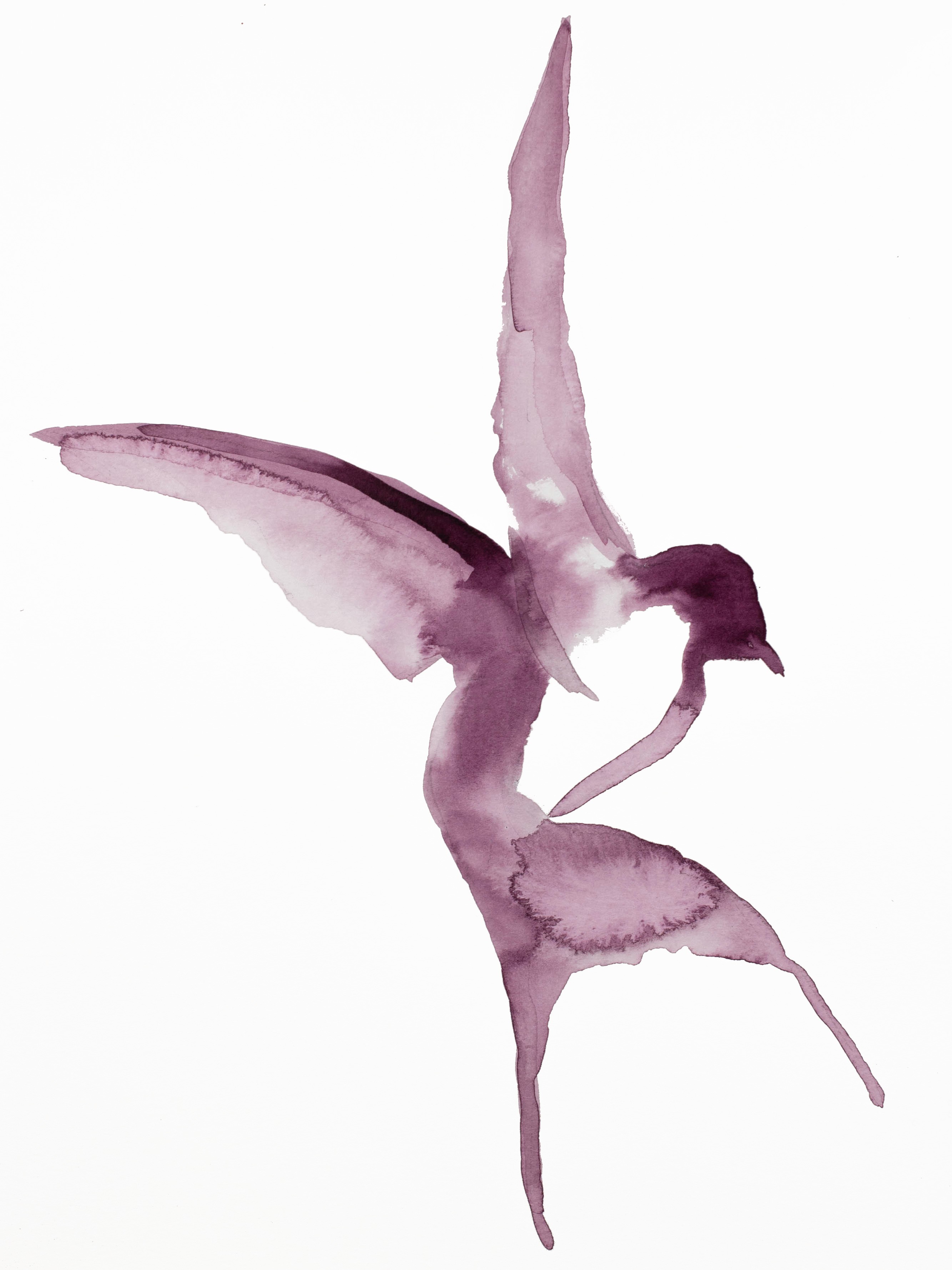 Elizabeth Becker, Swallow No. 55 Elizabeth Becker, Swallow No. 55