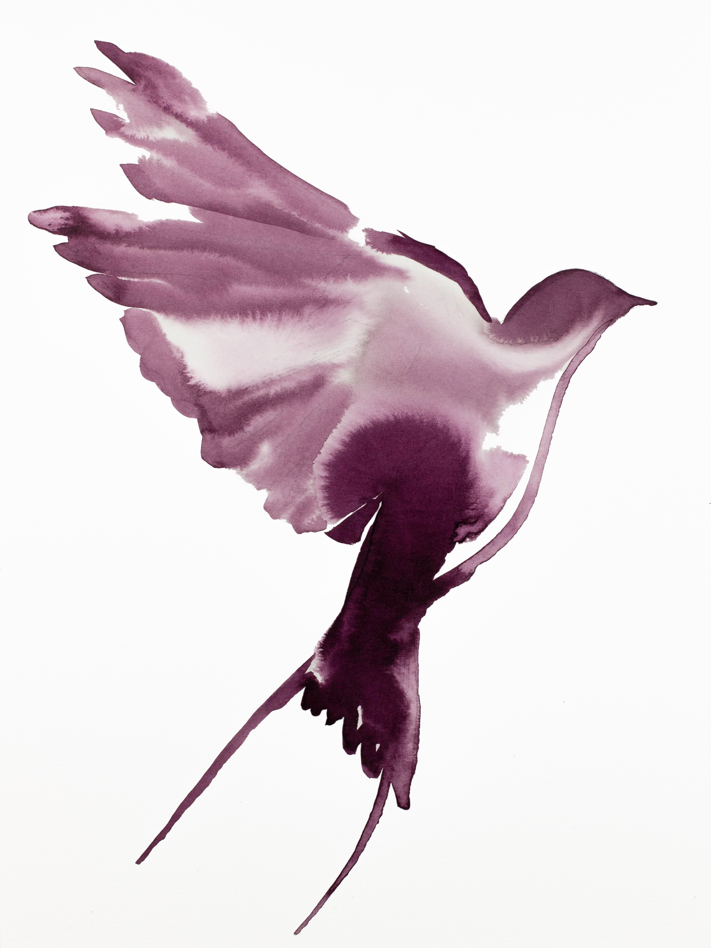 Elizabeth Becker, Swallow No. 54 Elizabeth Becker, Swallow No. 54