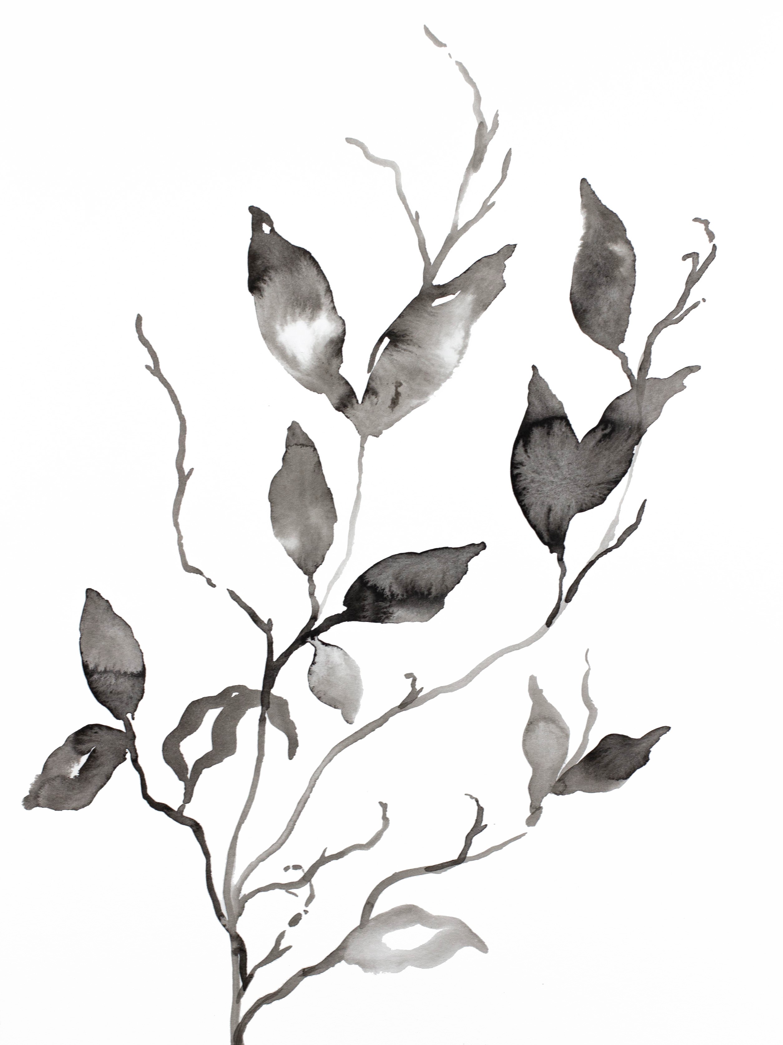 Elizabeth Becker, Plant Study No. 108 Elizabeth Becker, Plant Study No. 108