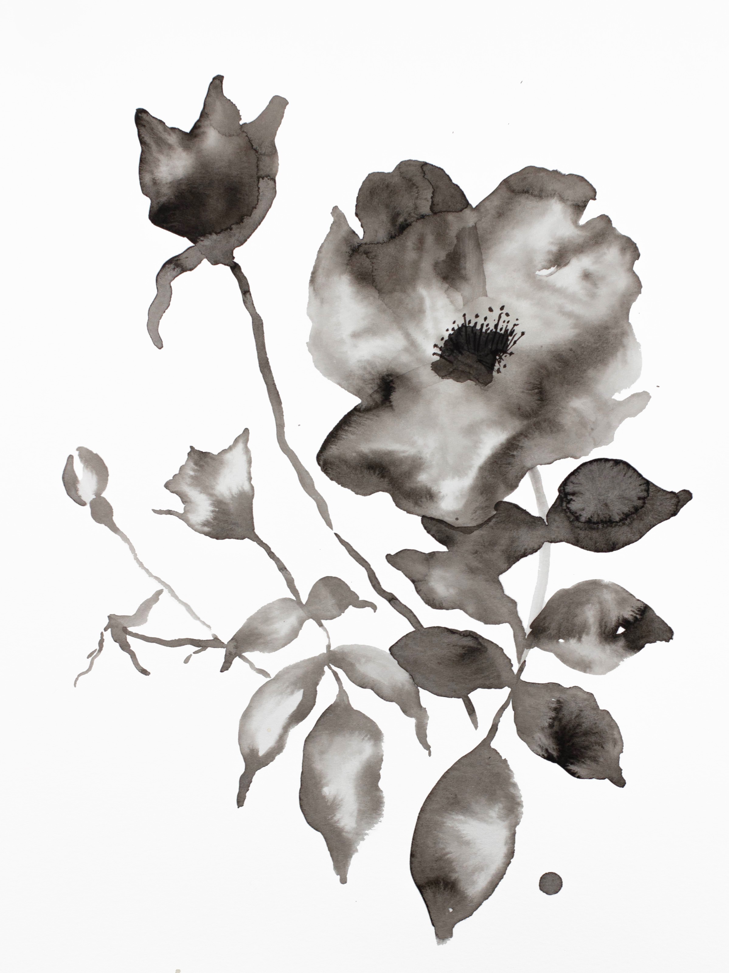 Elizabeth Becker, Wild Rose No. 11 Elizabeth Becker, Wild Rose No. 11