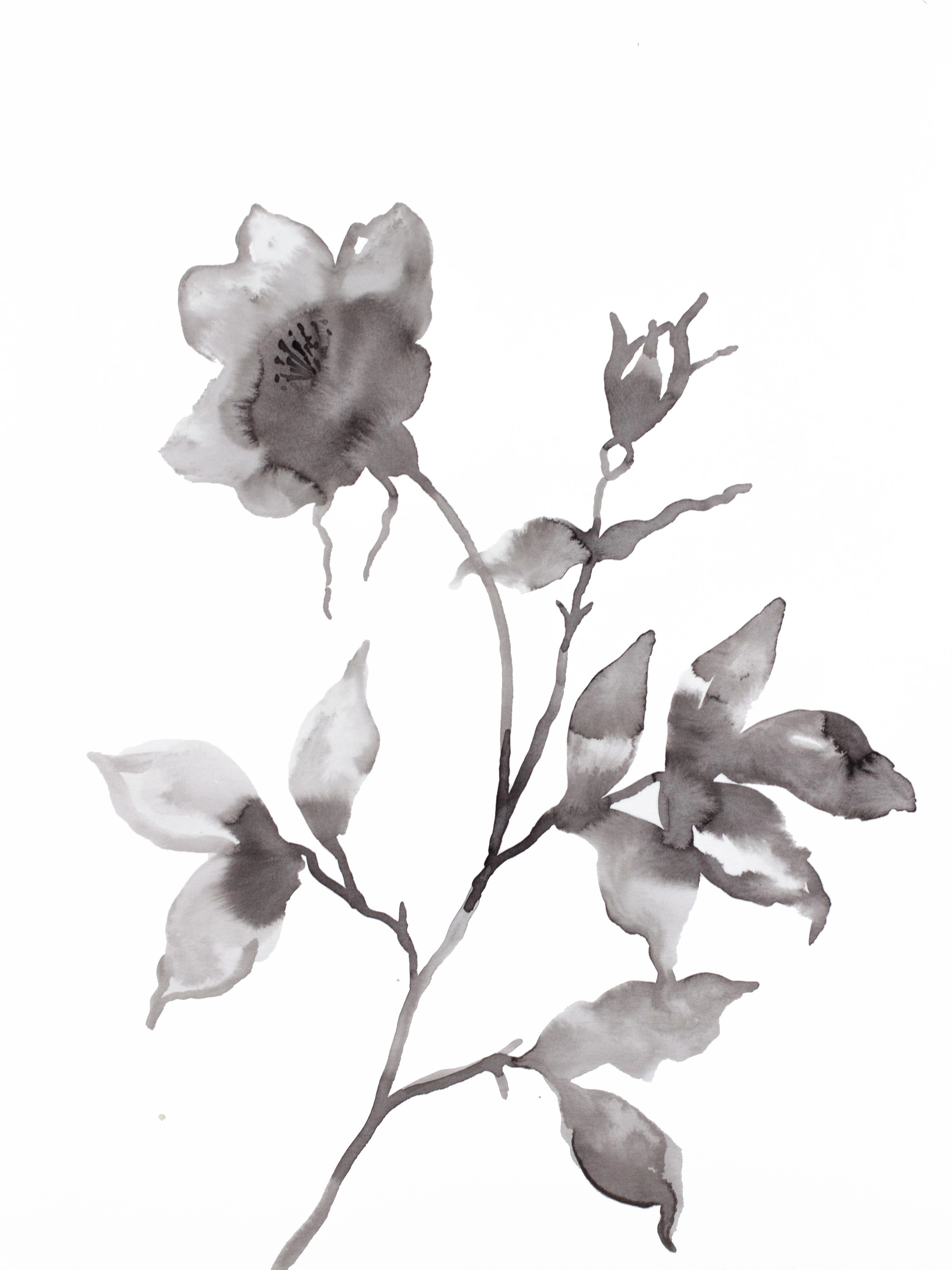 Elizabeth Becker, Wild Rose No. 9 Elizabeth Becker, Wild Rose No. 9