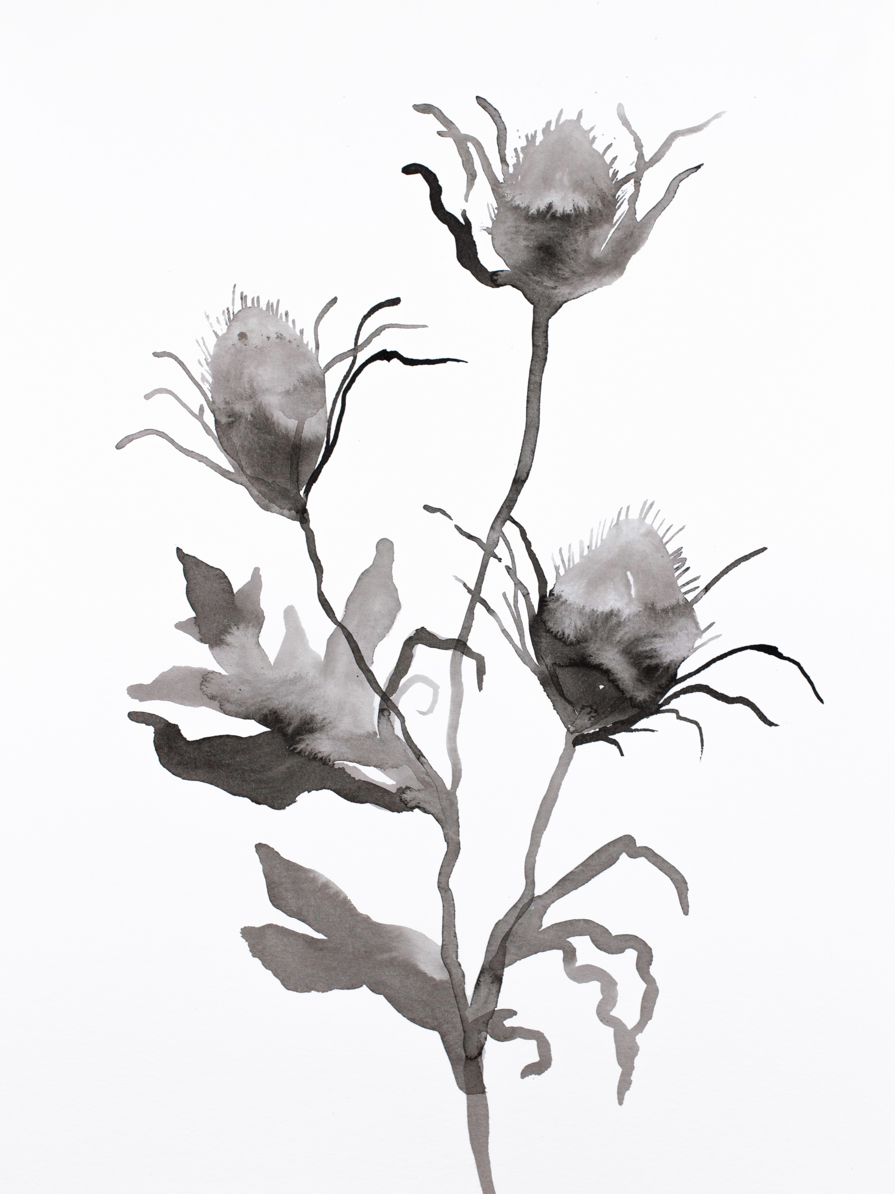 Elizabeth Becker, Thistle No. 1 Elizabeth Becker, Thistle No. 1