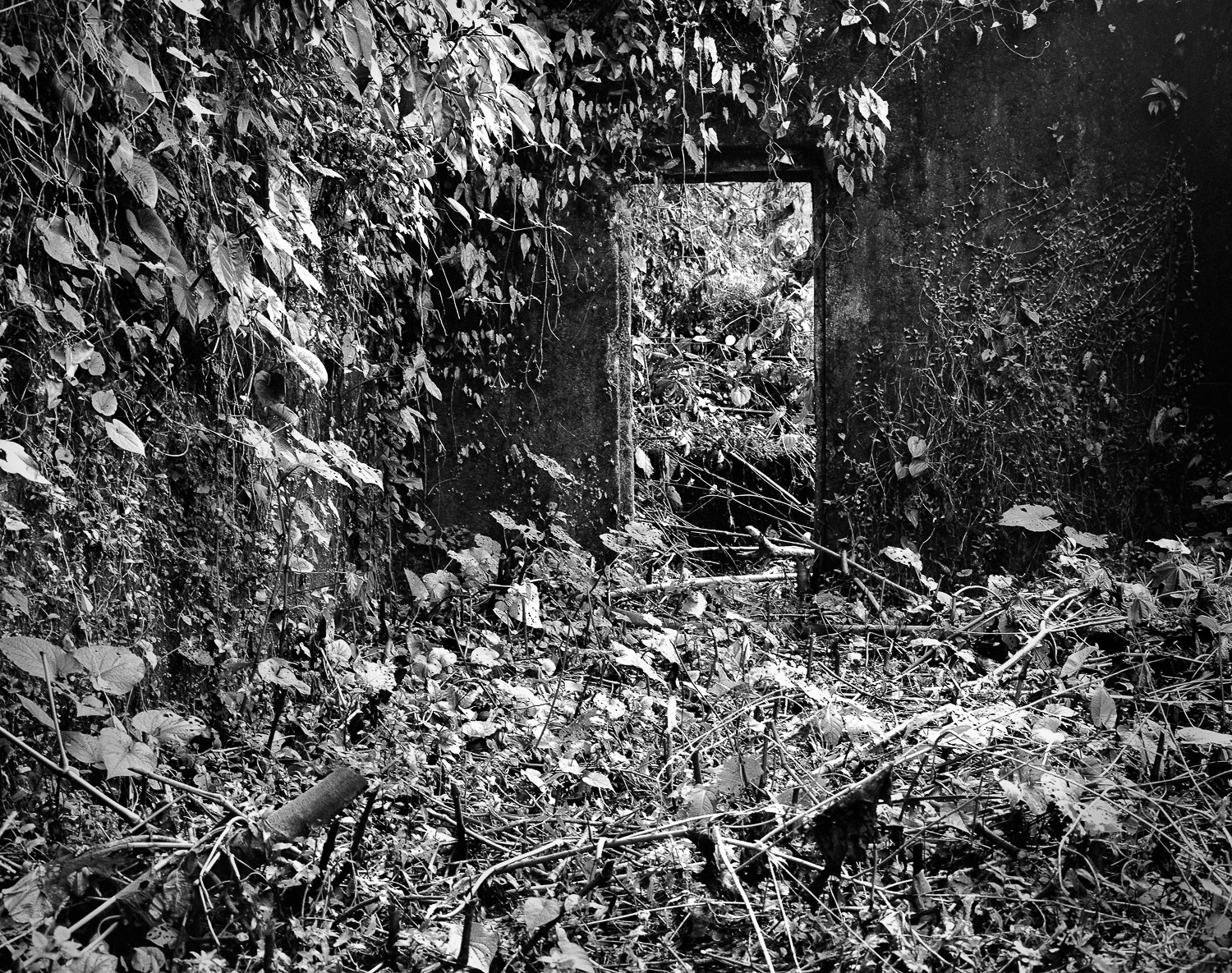 Miguel Winograd, Cuetzalan, Pigment Print Miguel Winograd, Cuetzalan, Pigment Print
