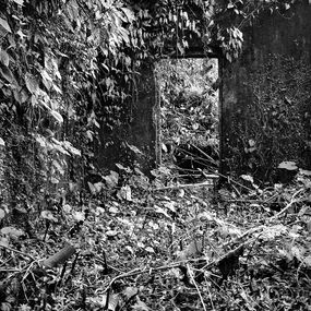 Photographie, Cuetzalan, Pigment Print, Miguel Winograd