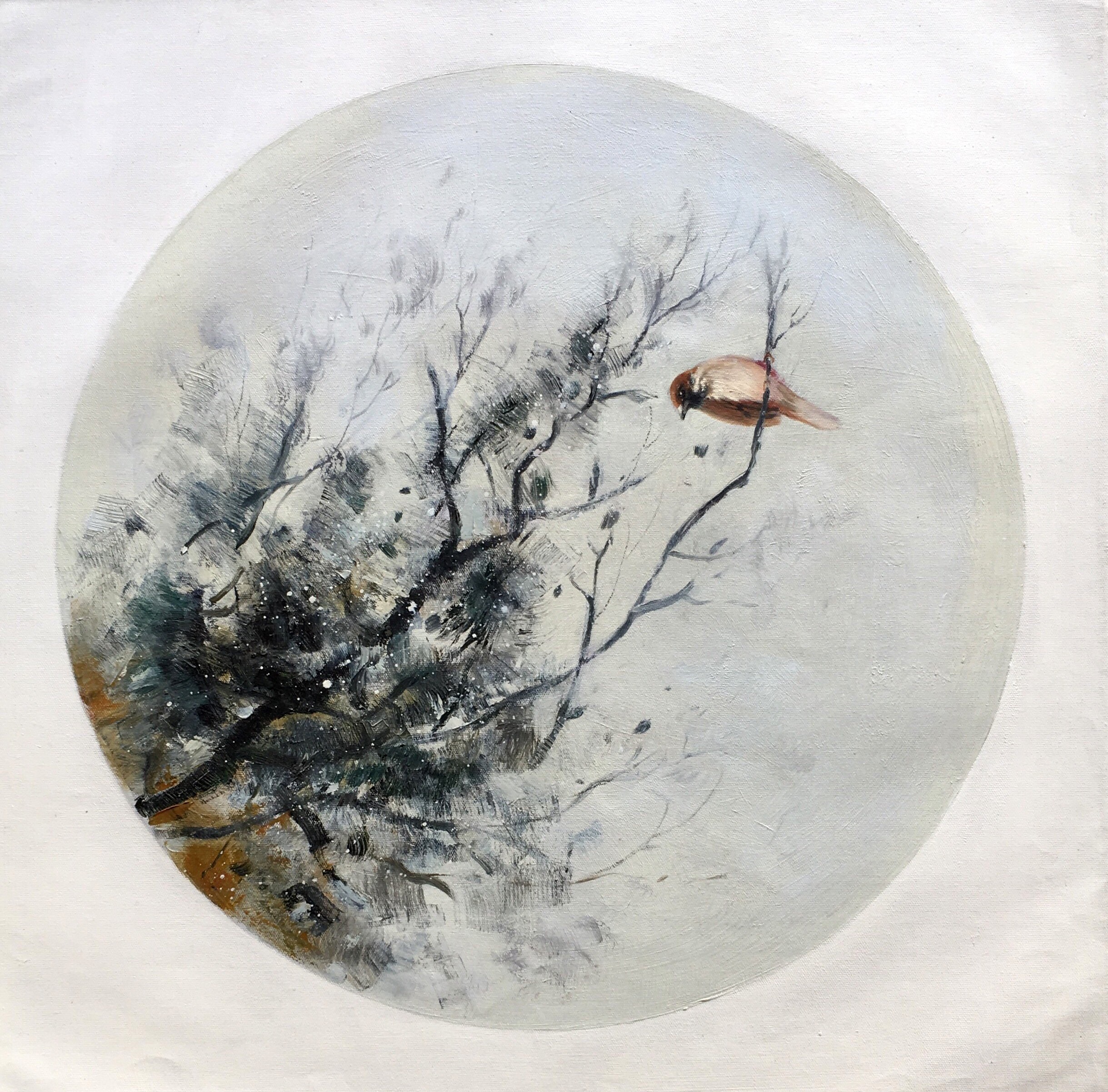Xiang Lin, Oiseau Xiang Lin, Oiseau