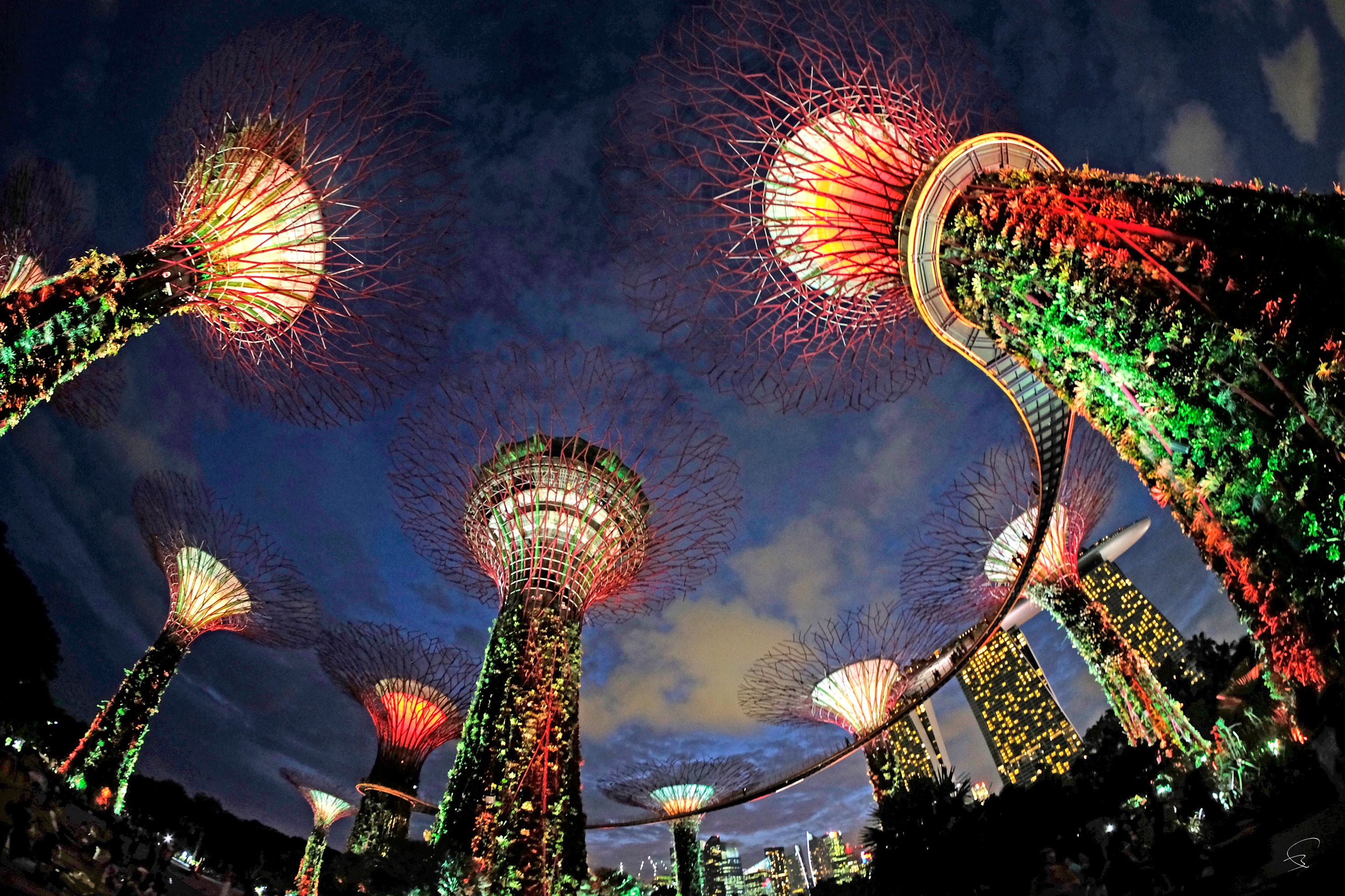 Bruno Paget, Singapore, gardens by the Bay 2 Bruno Paget, Singapore, gardens by the Bay 2