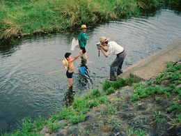 Photographie, Cray Fishing, Fabrizio Alzati