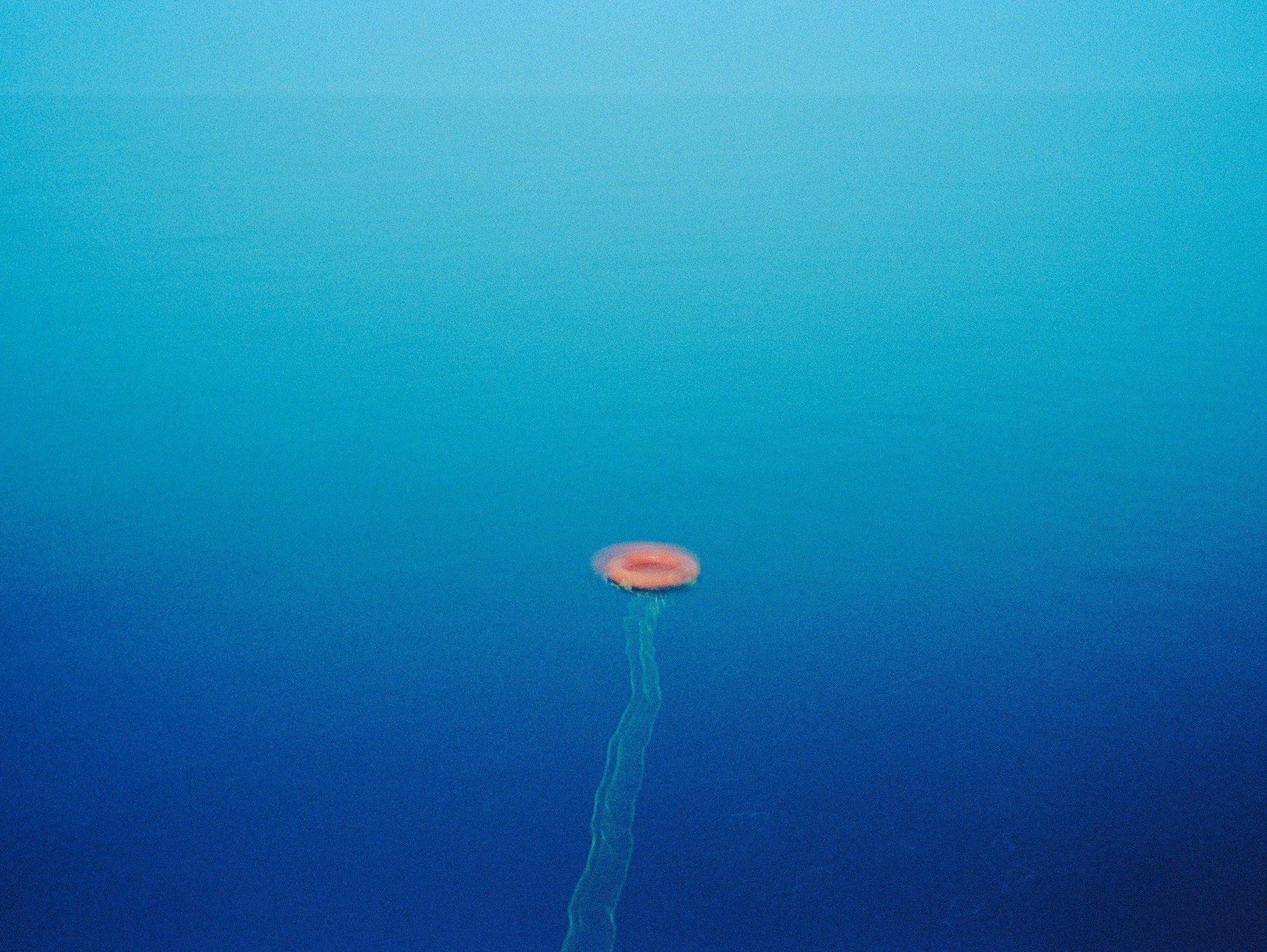 Mirei, Life Buoy Mirei, Life Buoy
