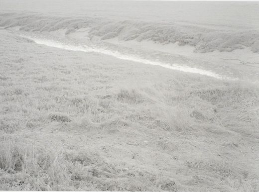 Olivier Pasquiers