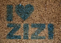 I Love Zizi, Yann Merran